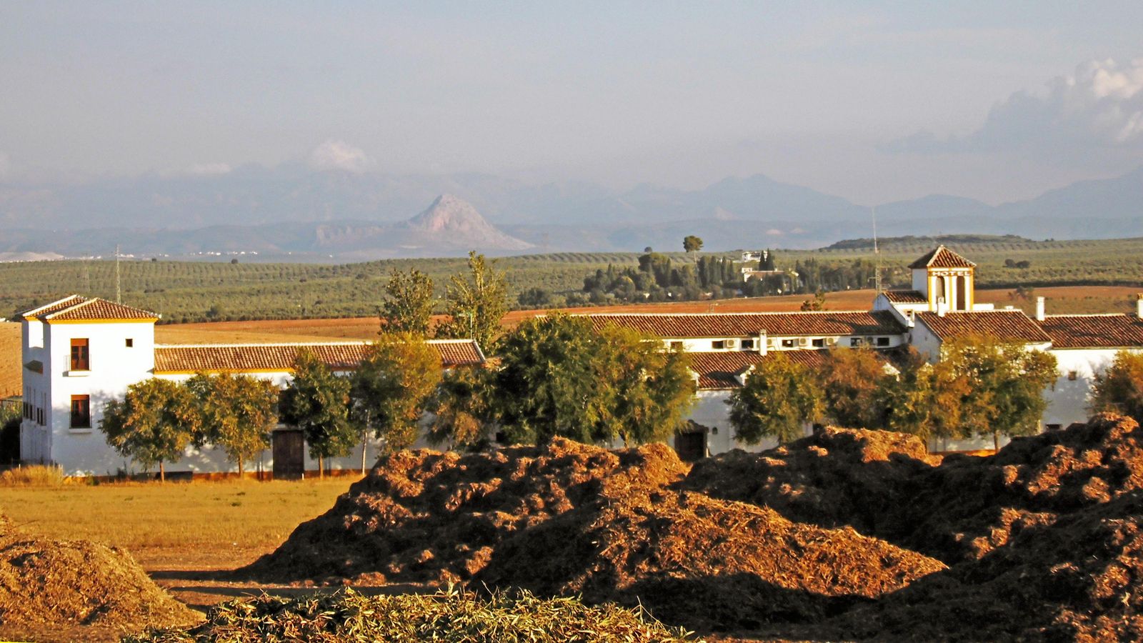 El paisaje nos regala verdaderas estampas típicas del interior de la provincia.