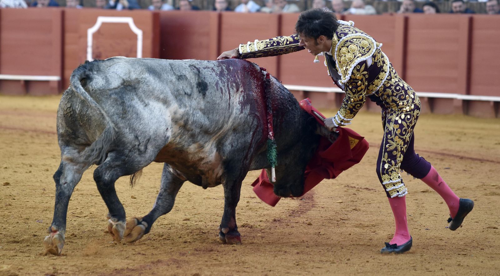 La 14ª de abono en la Real Maestranza de Sevilla, en imágenes