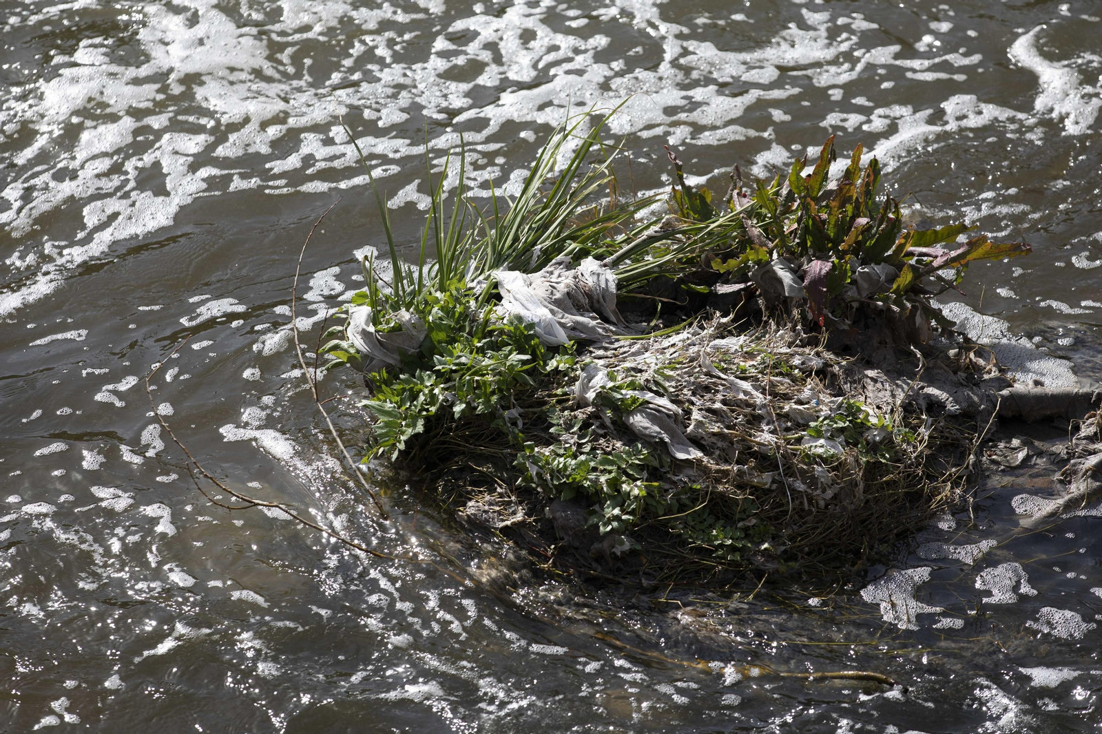 Fotos del 'cementerio' de toallitas que se acumula junto al río Genil en Granada