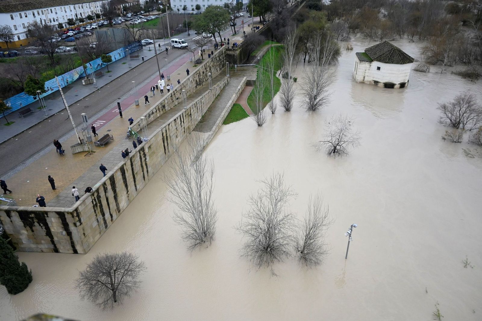 La impresionante crecida del río Guadalquivir: se acerca a los 6 metros a su paso por Córdoba