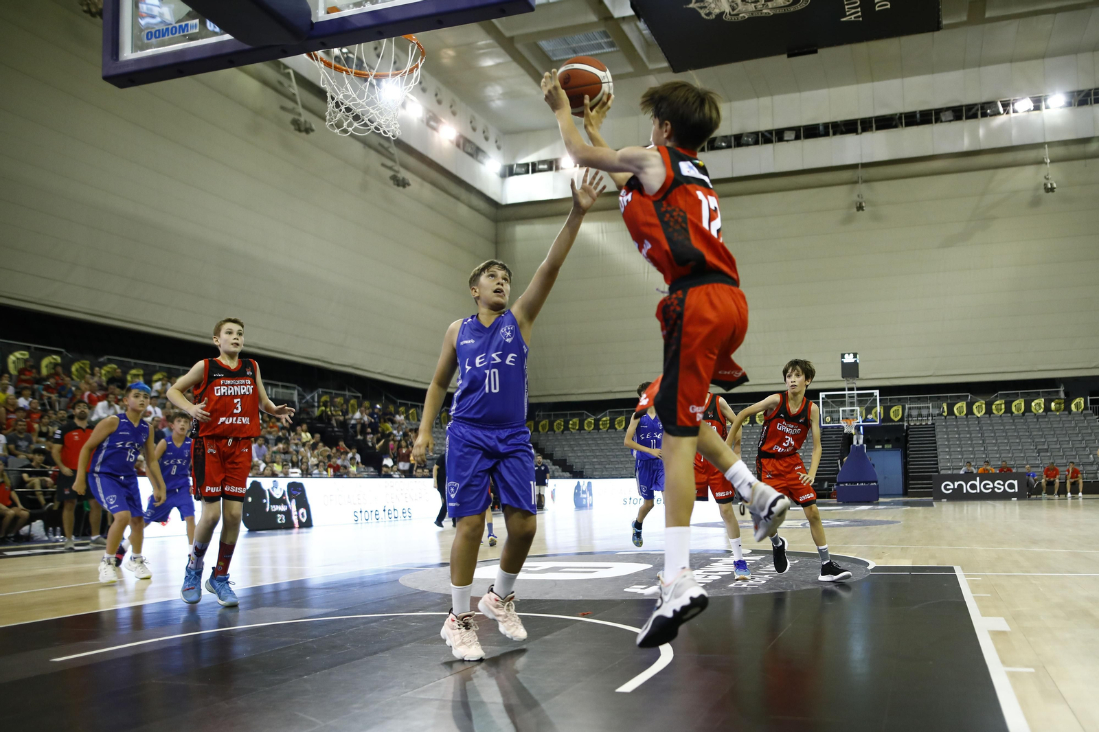 Encuéntrate en el partido del Fundación CB Granada de minibasket