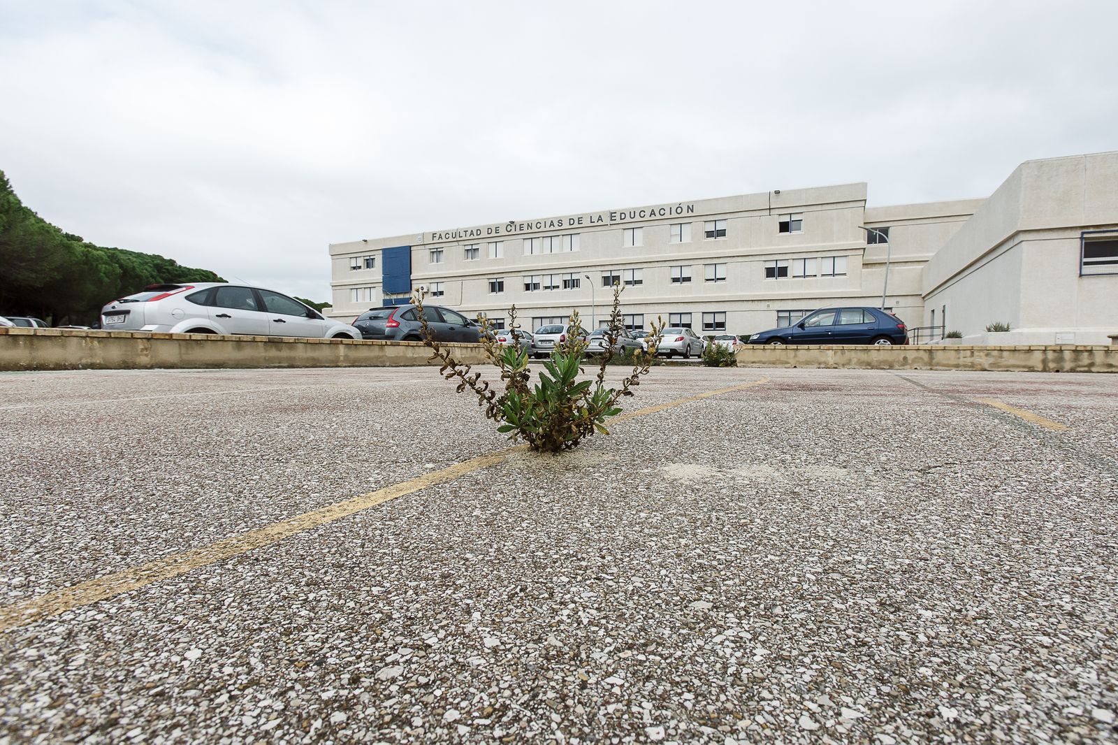 Estado actual de las instalaciones de la Facultad de Ciencias de la Educación