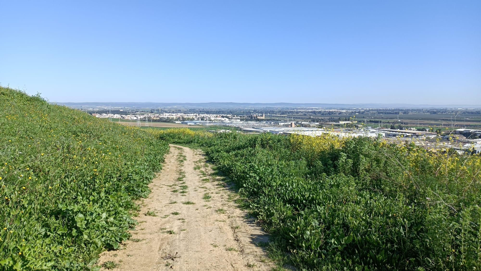 Vistas de Santiponce.