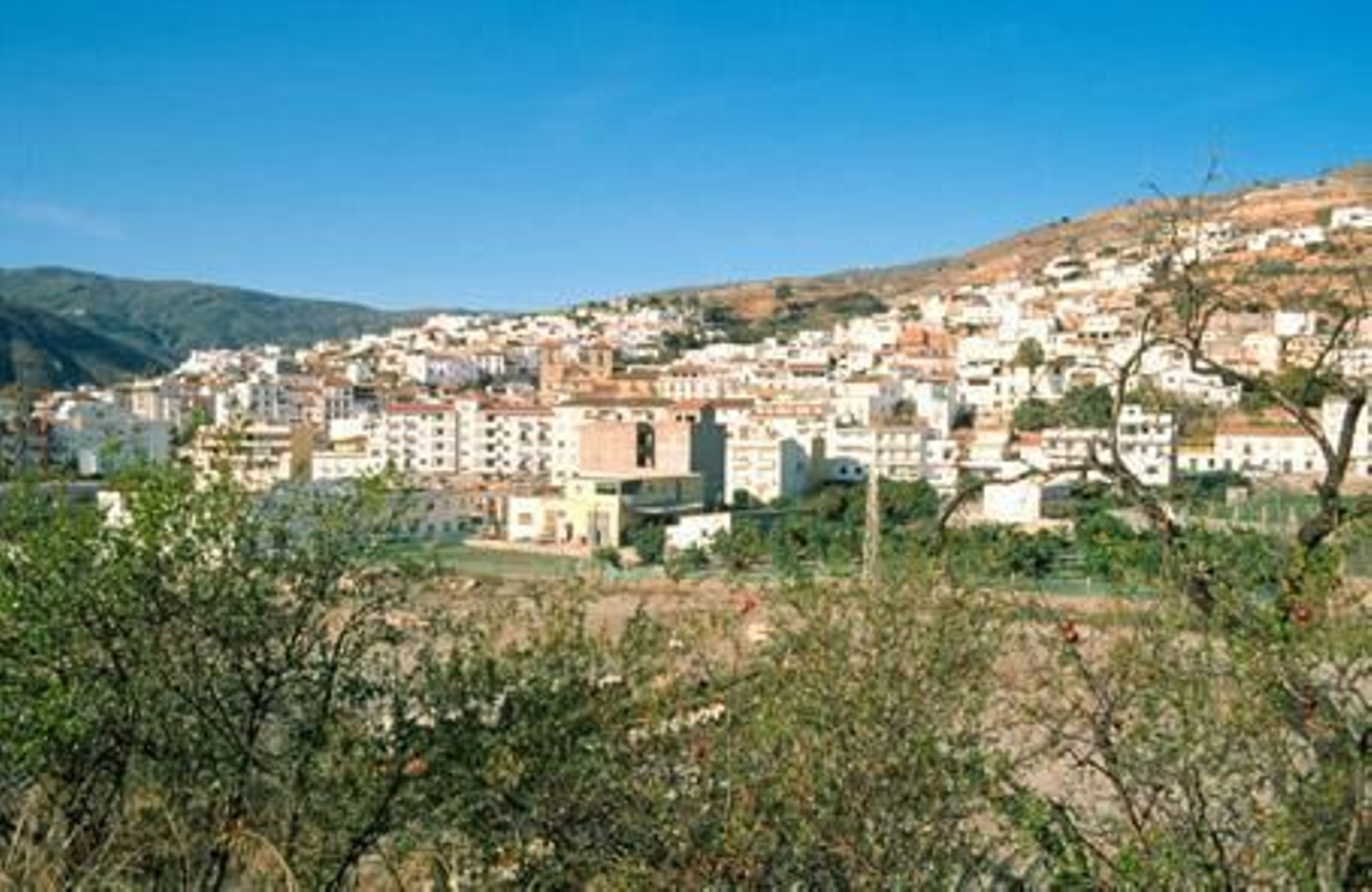 Coronavirus en Granada: el brote de Albuñol crece y ya hay 31 contagiados en el municipio