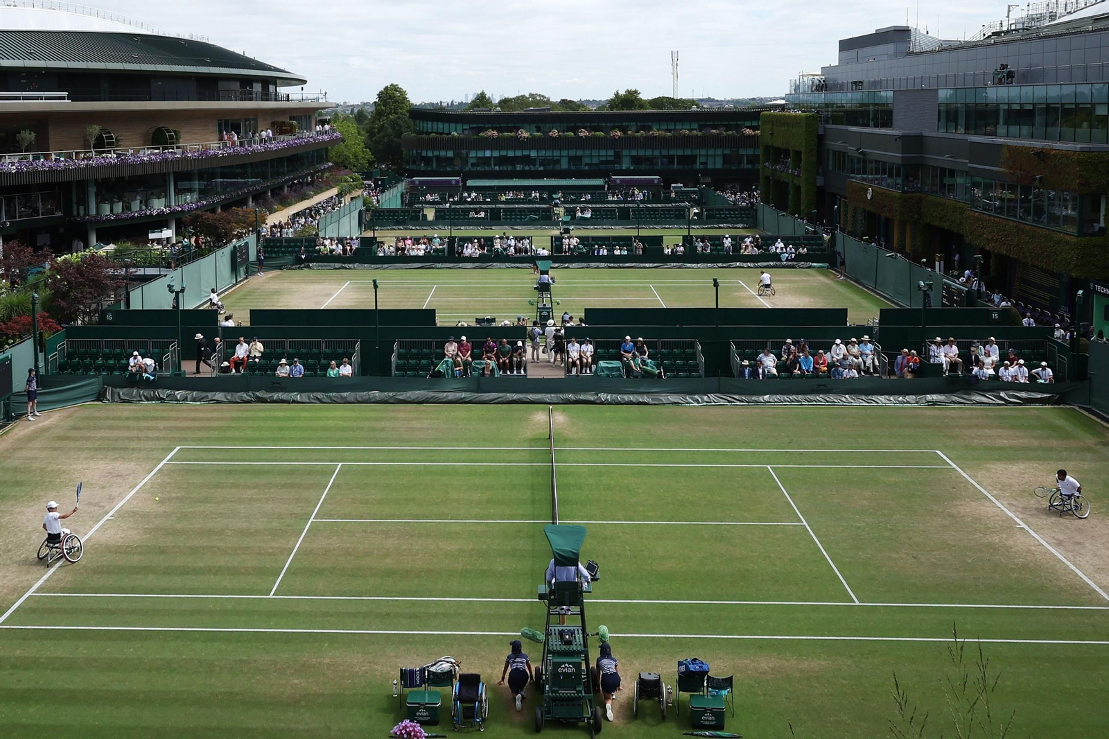 Las fotos de Wimbledon con las clasificaciones de Djokovic y Sinner