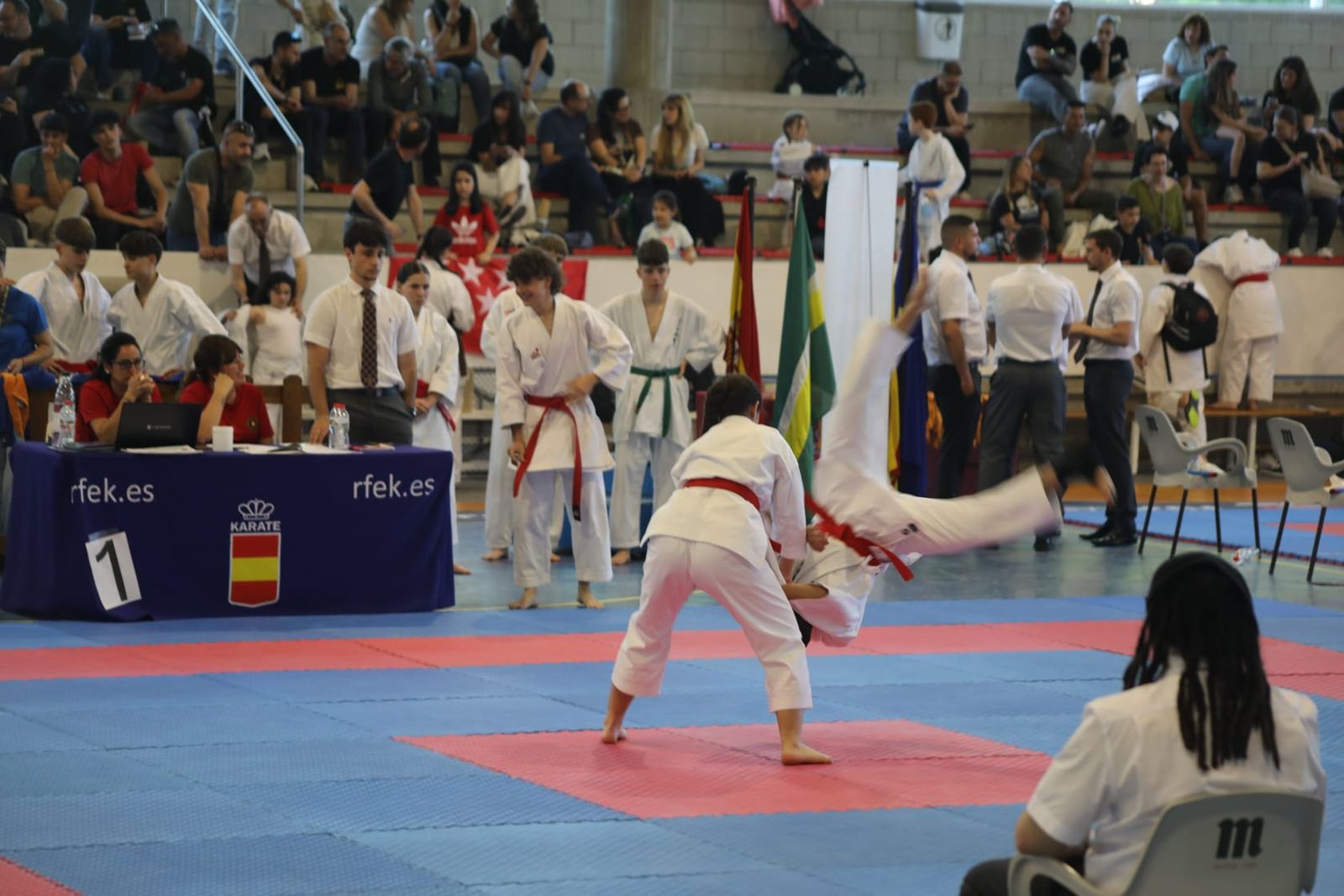 Las mejores imágenes de la Escuela de Nihon Tai-Jitsu del Club Nazaret en el Campeonato de España