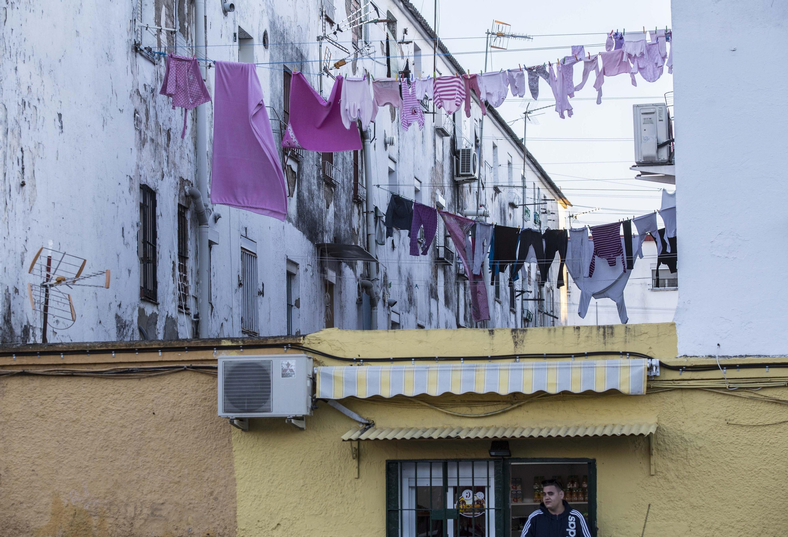 PajaritosEl imperio de la droga