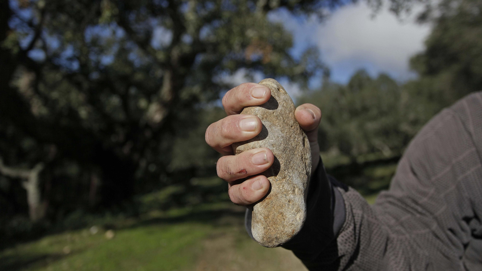 Sendero de la finca Murta en Los Barrios