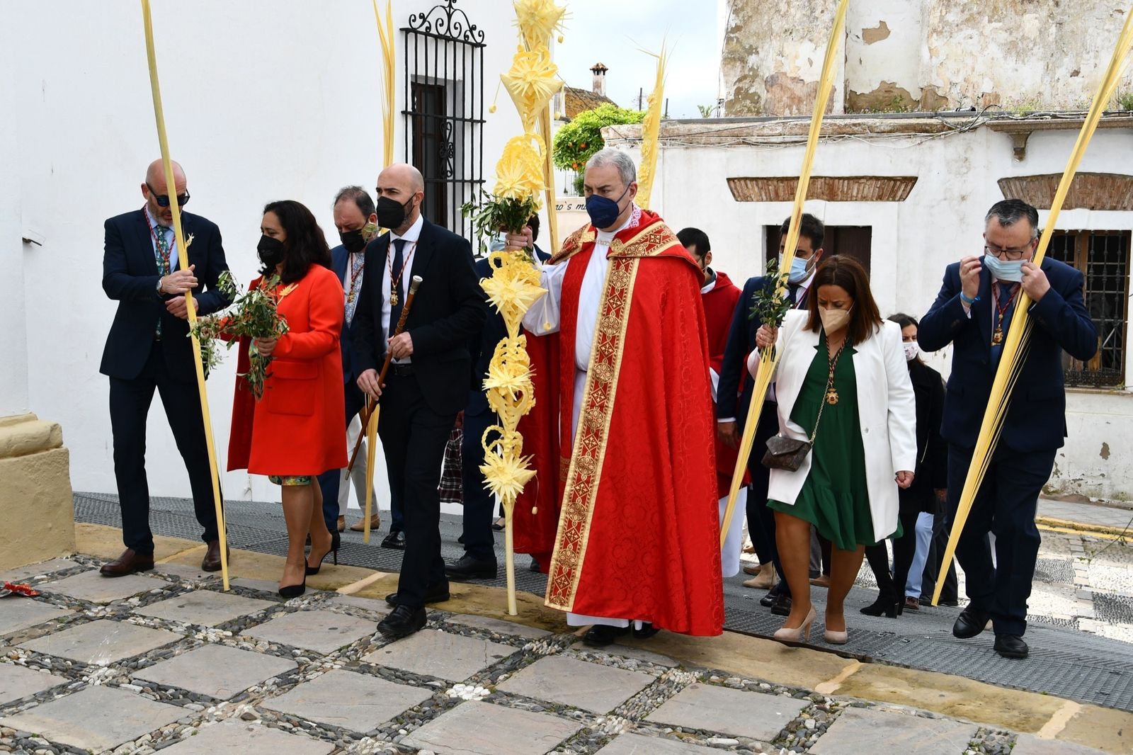 Las fotos del domingo de palmas y olivos en San Roque