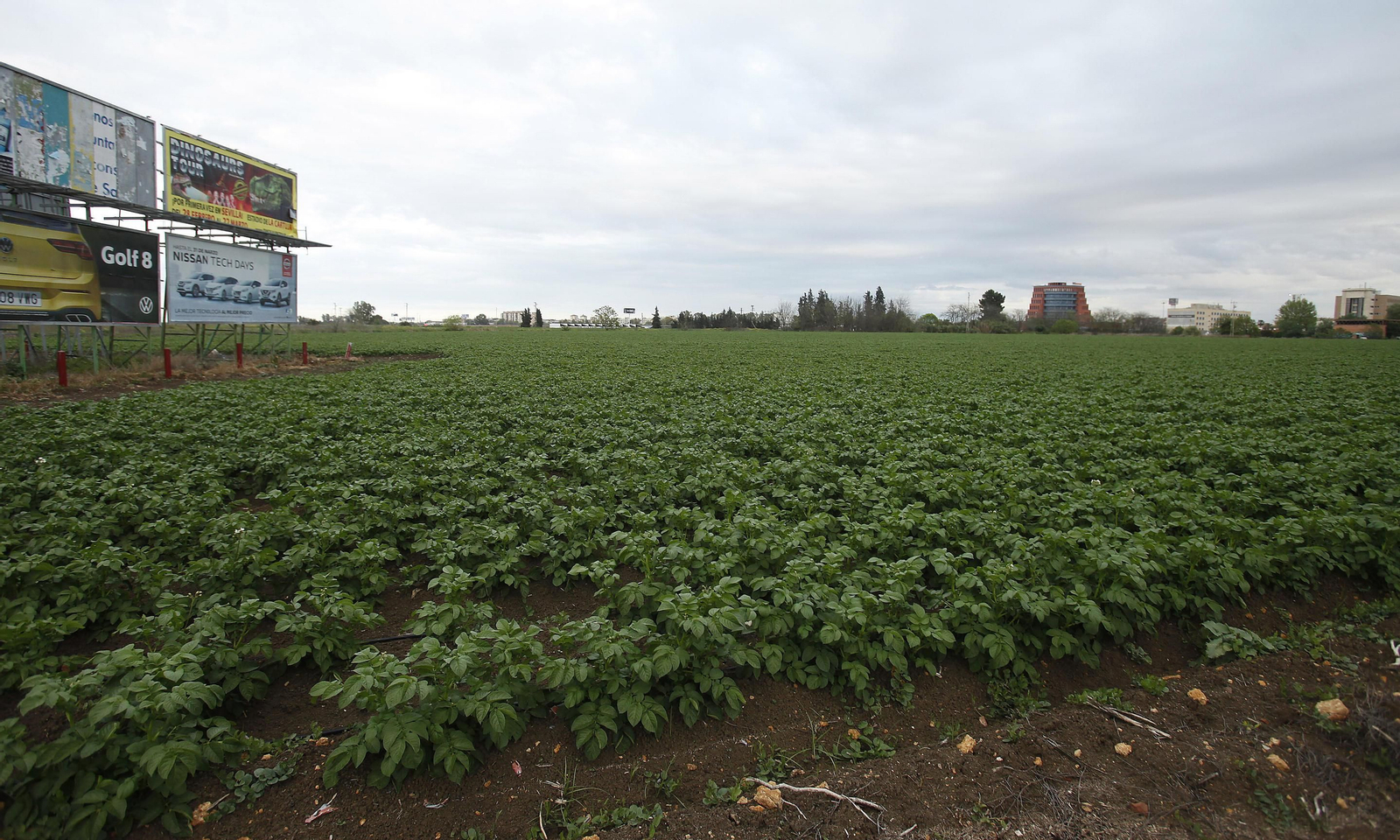 Estado actual de los suelos del Buen Aire.