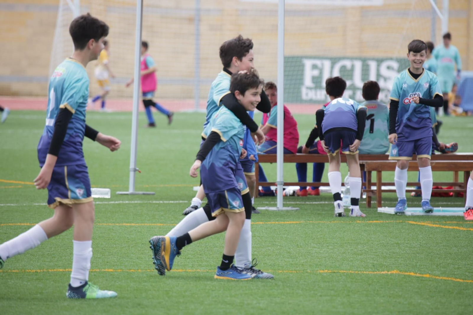 Las mejores imágenes de la celebración de la Copa Covap en Palma del Río