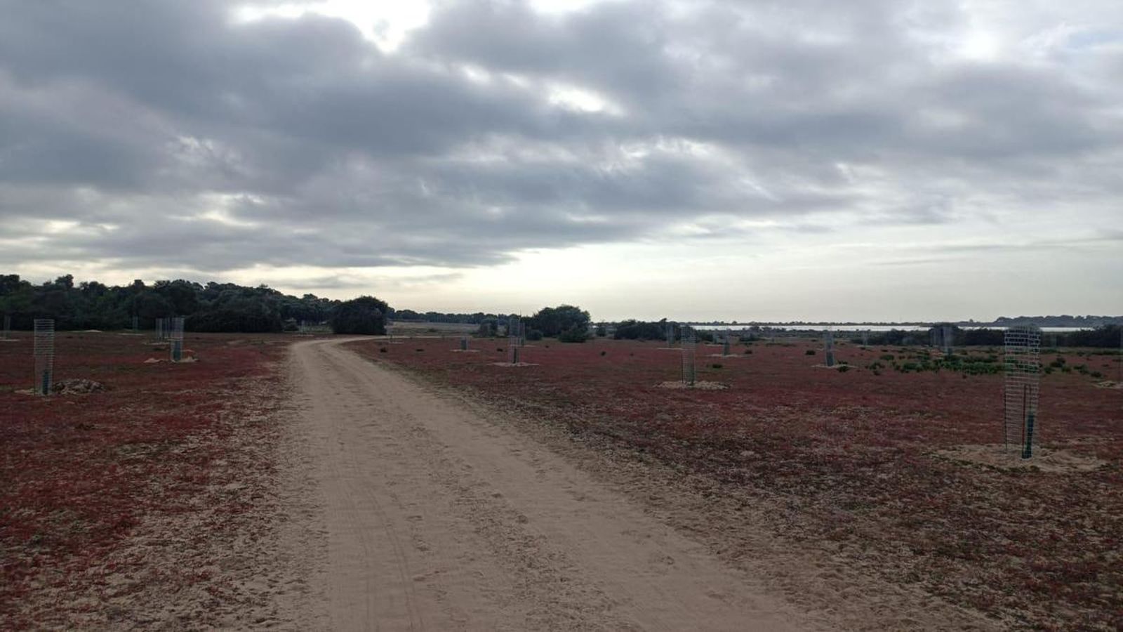 El paisaje vuelve a cambiar: nos aproximamos a un humedal.