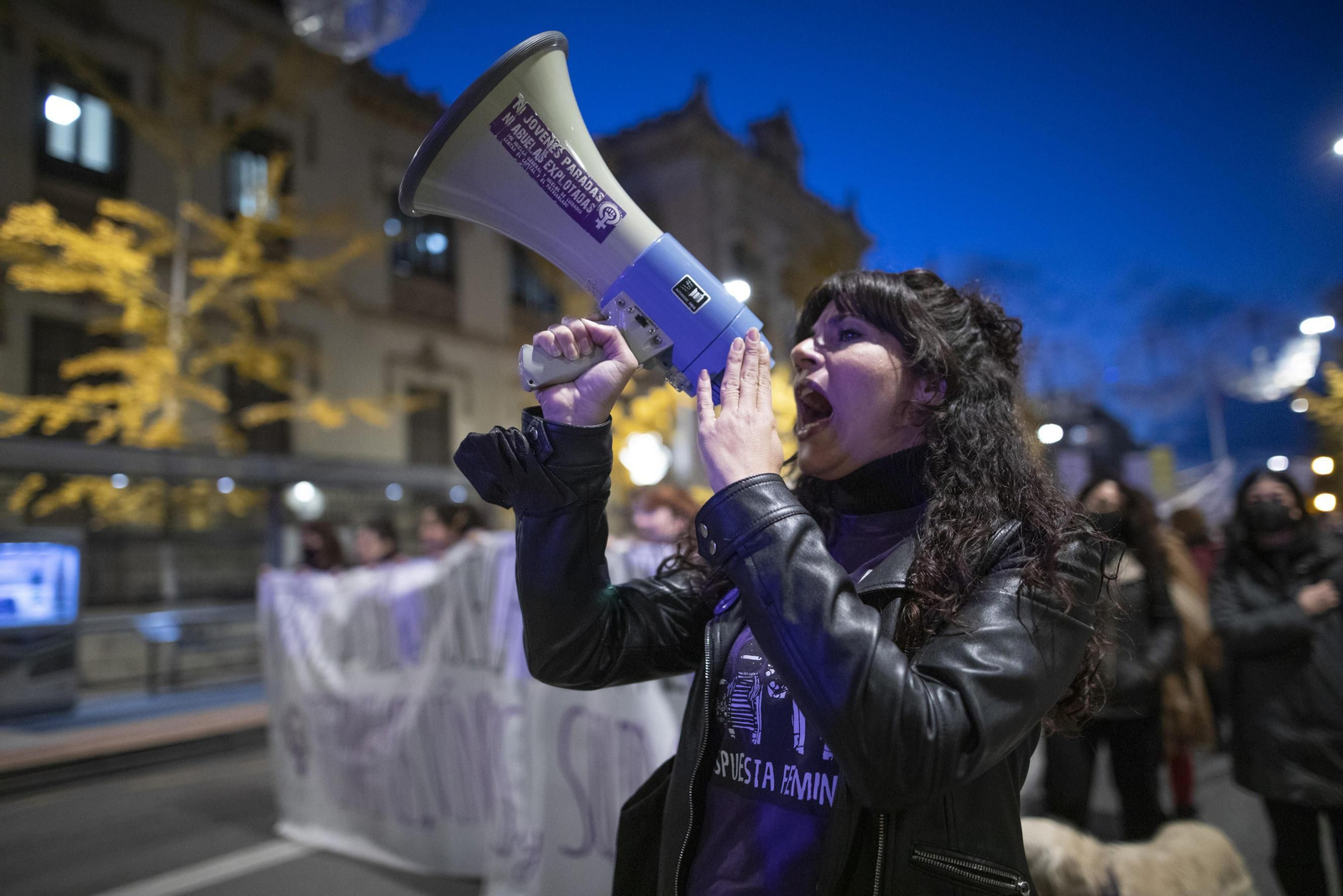 La manifestación del 25-N en Granada en imágenes