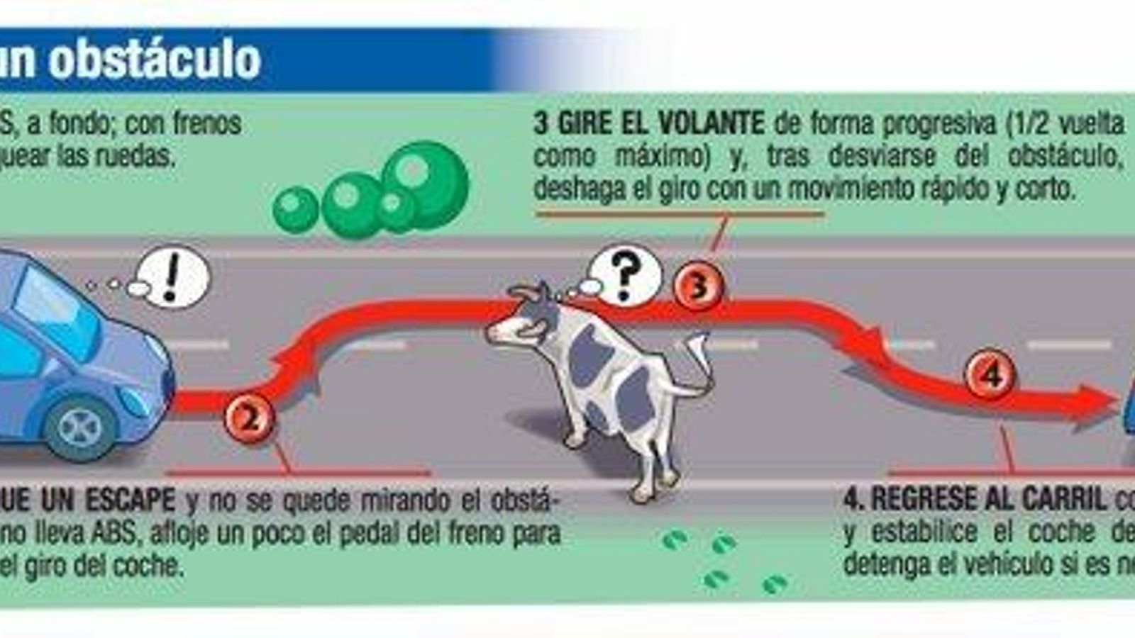Hay un animal en medio de la carretera: ¿Qué hago?