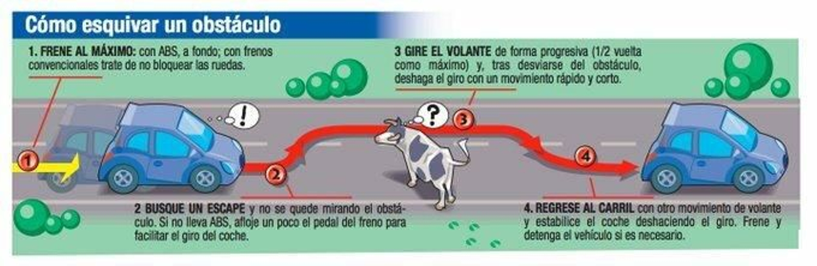 Hay un animal en medio de la carretera: ¿Qué hago?