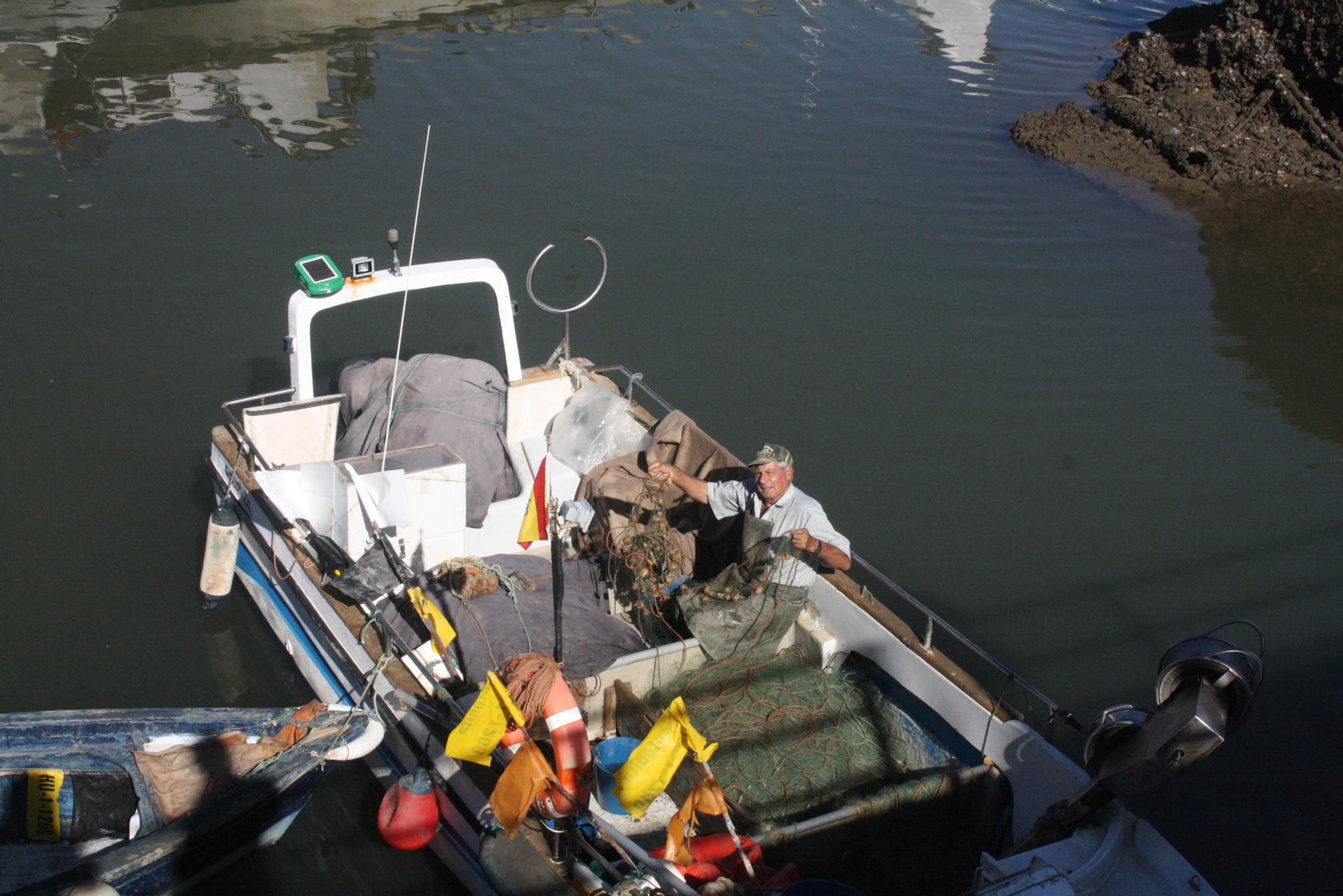 Cañaíllas:                            'Bolinus brandaris'