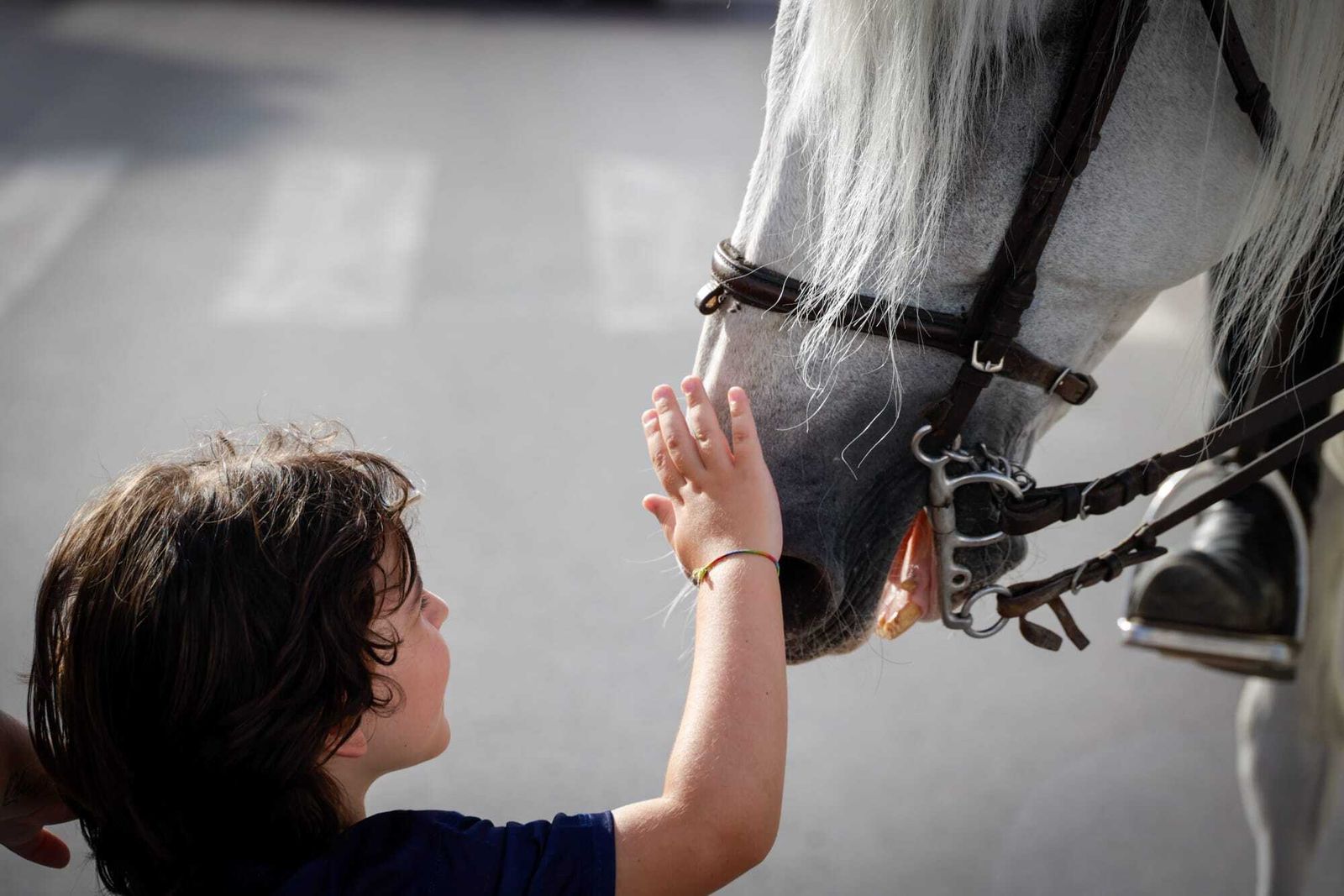 Las imágenes de la carrera Ruta 091 Kilómetros Solidarios celebrada en San Fernando