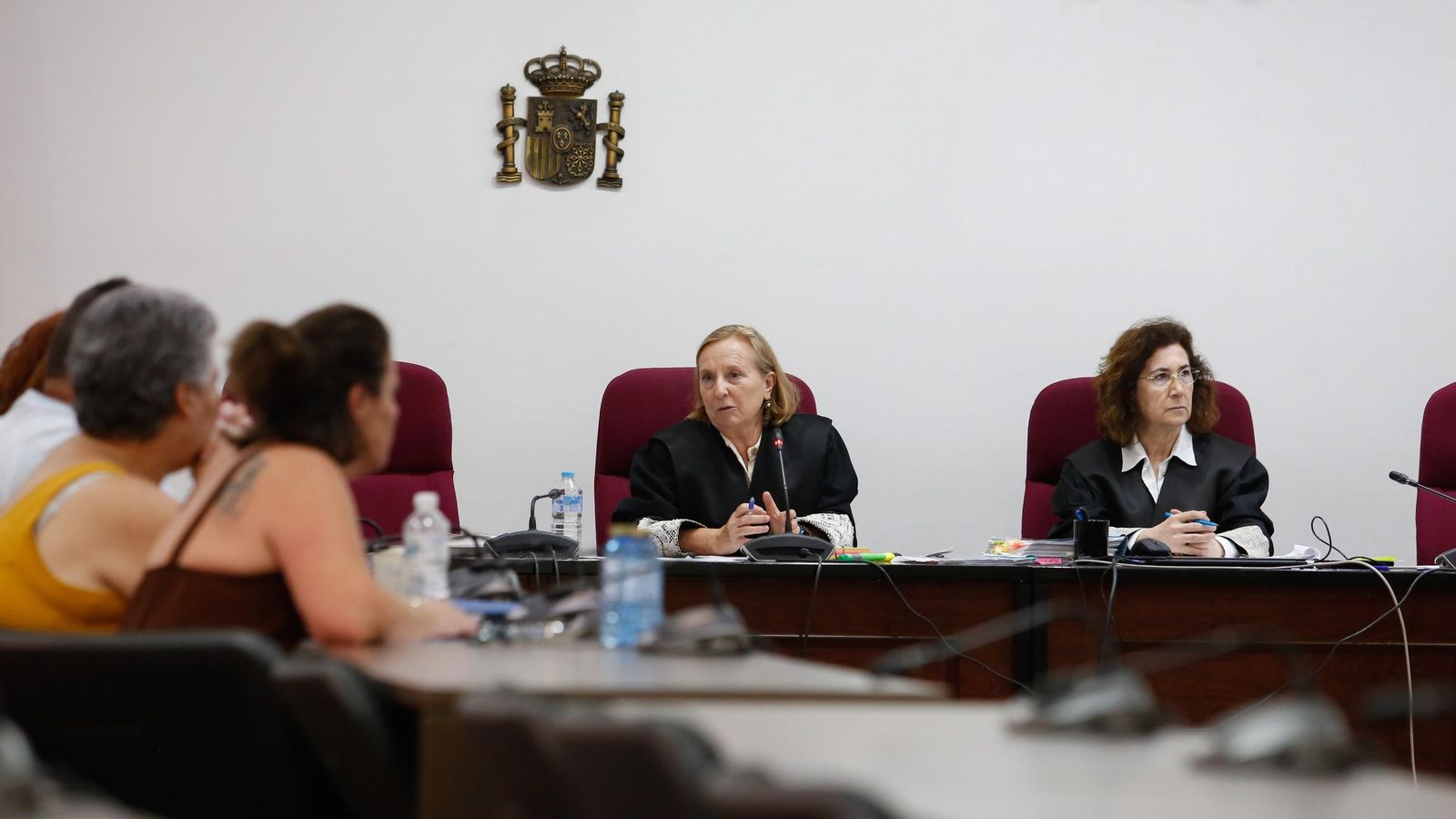 La presidenta del tribunal, Nieves Marina, se dirige a los miembros del jurado durante la vista oral. La presidenta del tribunal, Nieves Marina, se dirige a los miembros del jurado durante la vista oral.