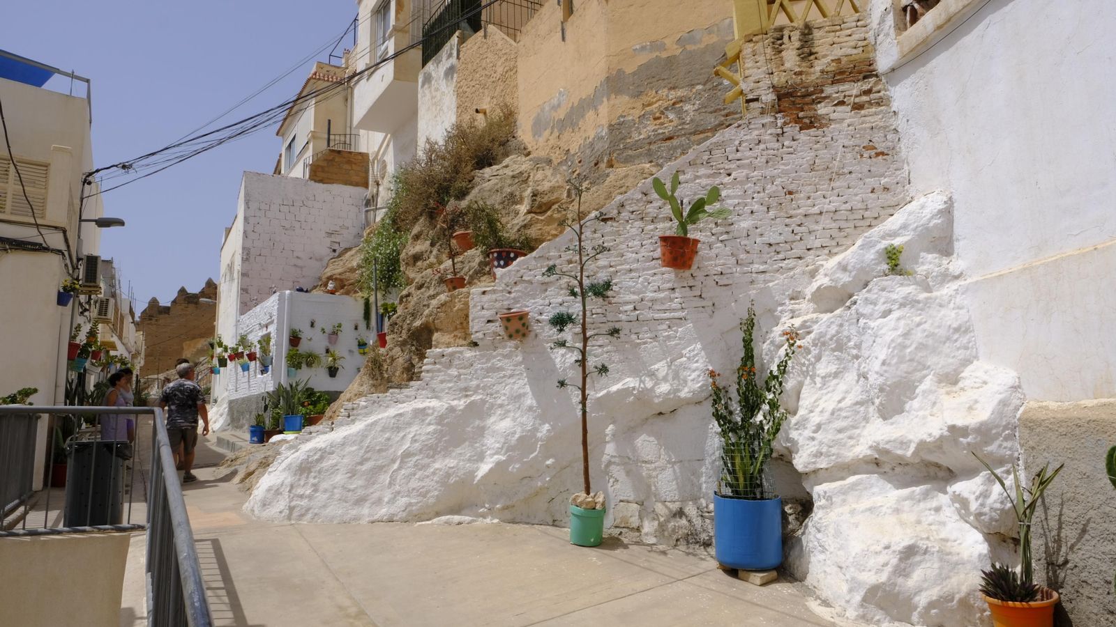Pitas y chumberas, entre geranios y buganvillas,  decoran el Barrio Santo