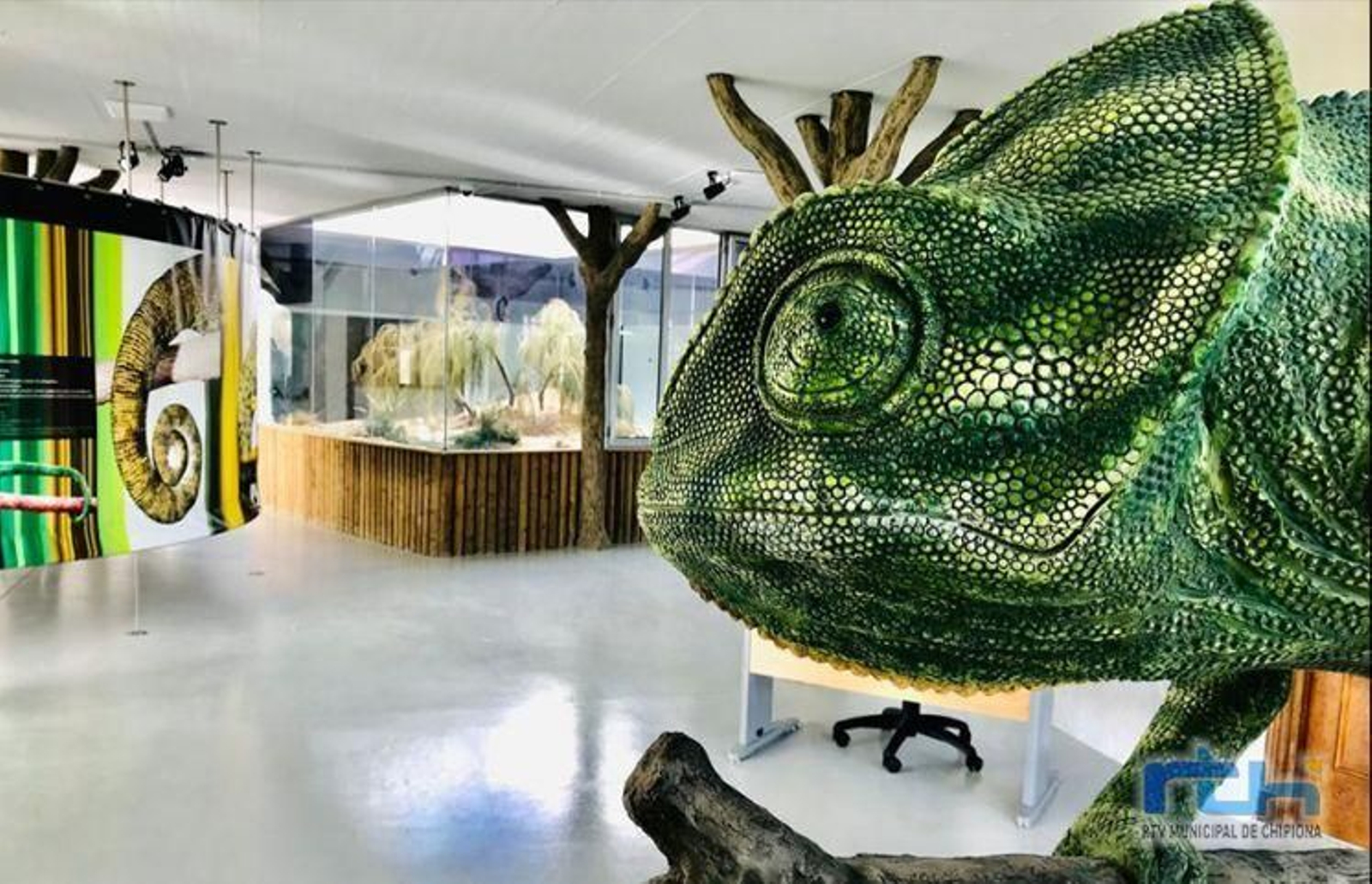 Centro 'El Camaleón' en Rota.