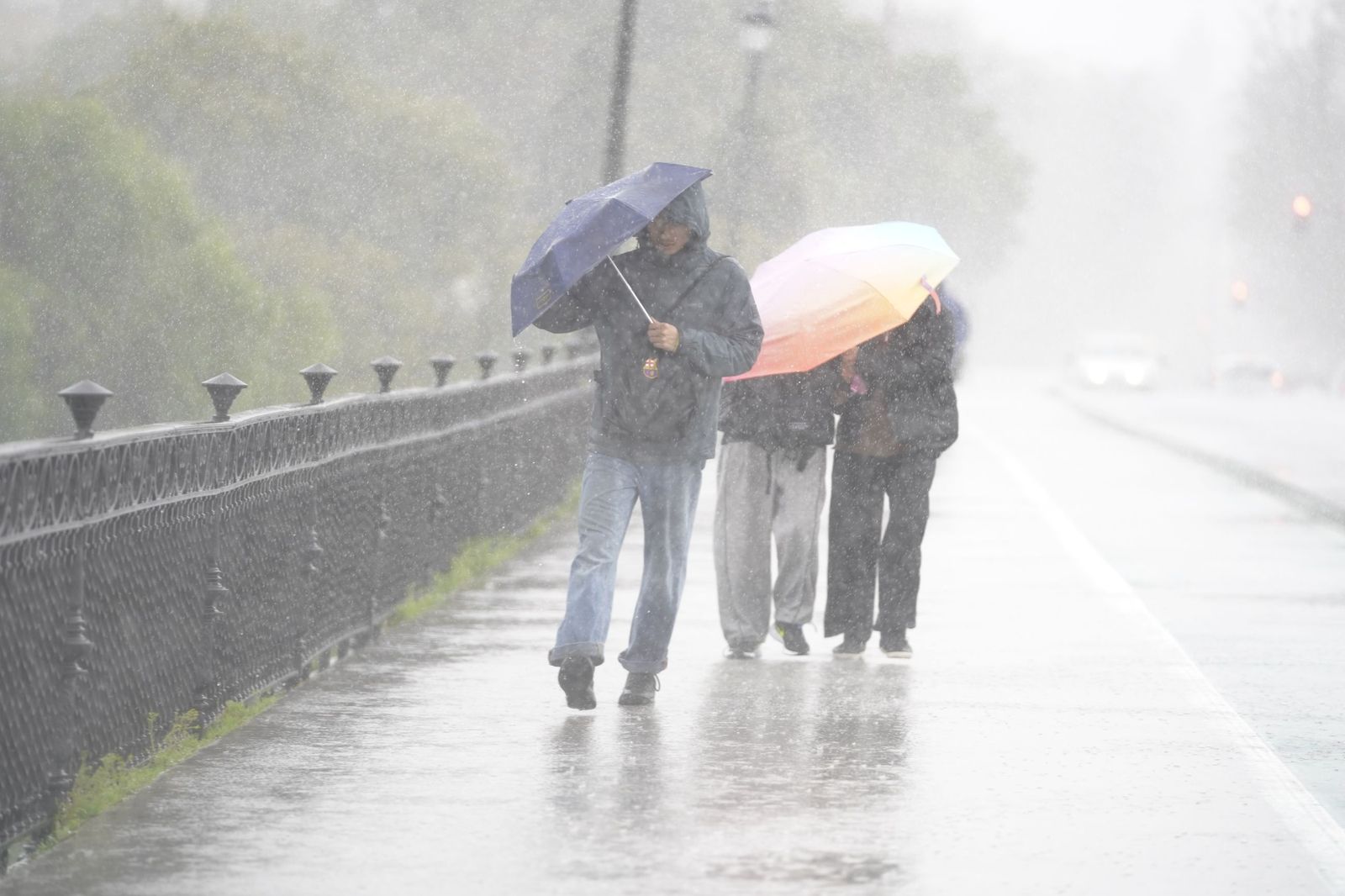 La intensa lluvia en Sevilla al paso de la Borrasca Leonardo en fotos