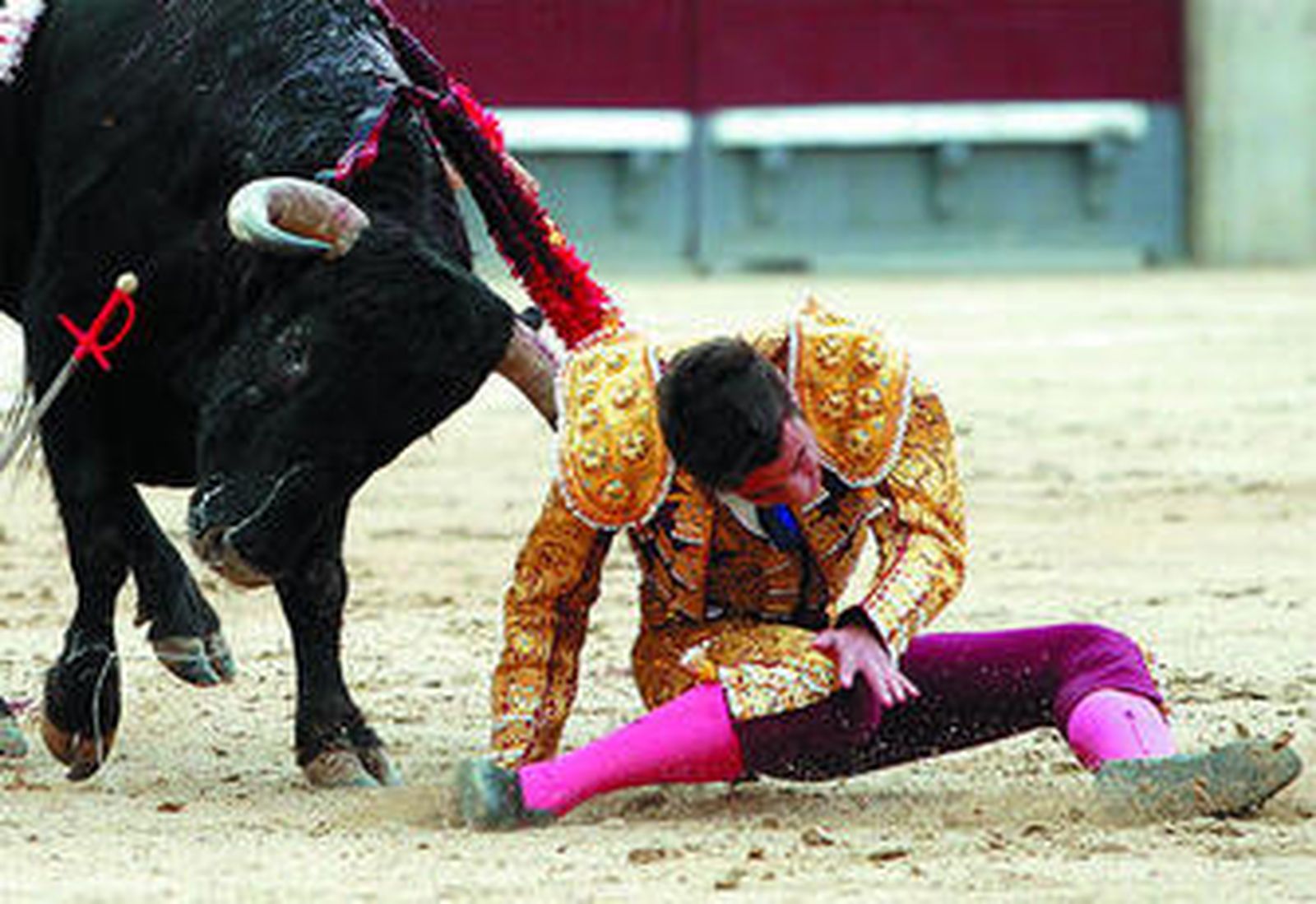 Pablo Lechuga, voilteado por su primero ayer en la plaza de Madrid, queda a merced del toro en la instantánea.