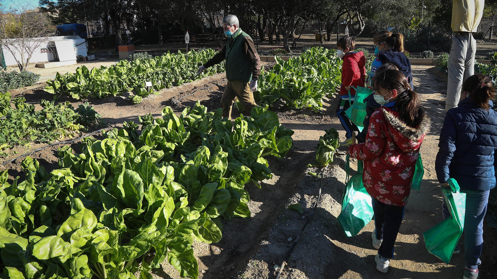 Huerto ecológico y educativo en Los Marianistas