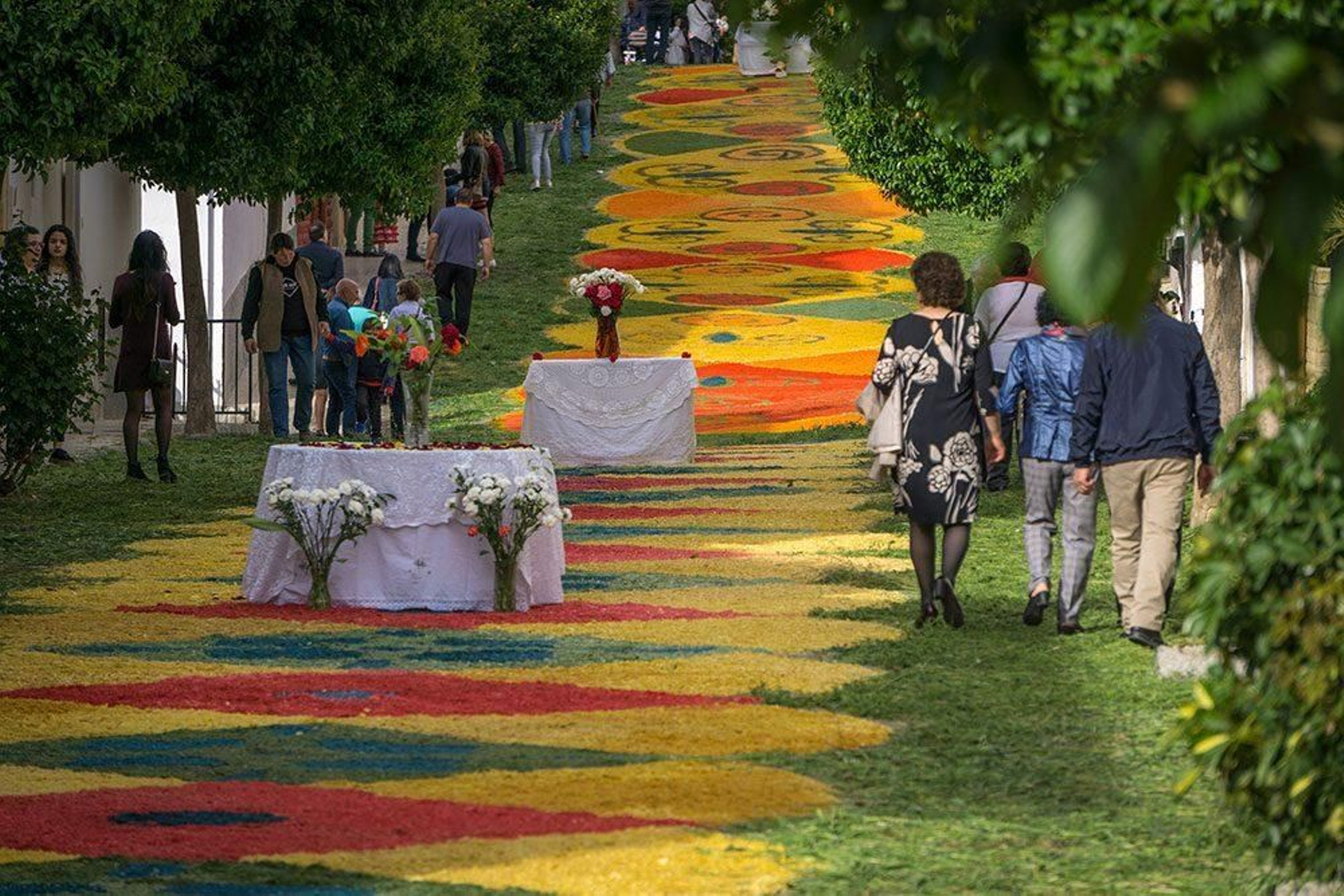 Festividad de la Virgen de Fátima en Tíjola