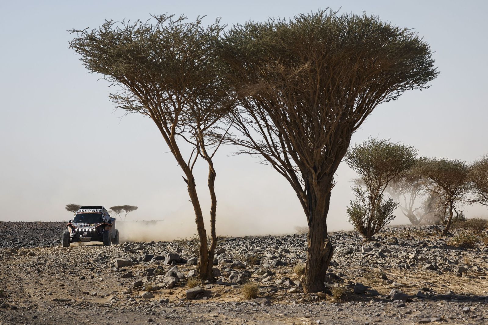 Las mejores fotos del Rally Dakar | Novena etapa