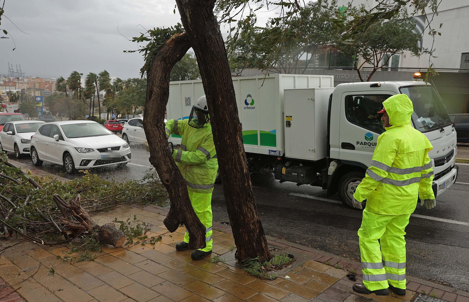 Fotos de los daños del temporal Karlotta en Algeciras
