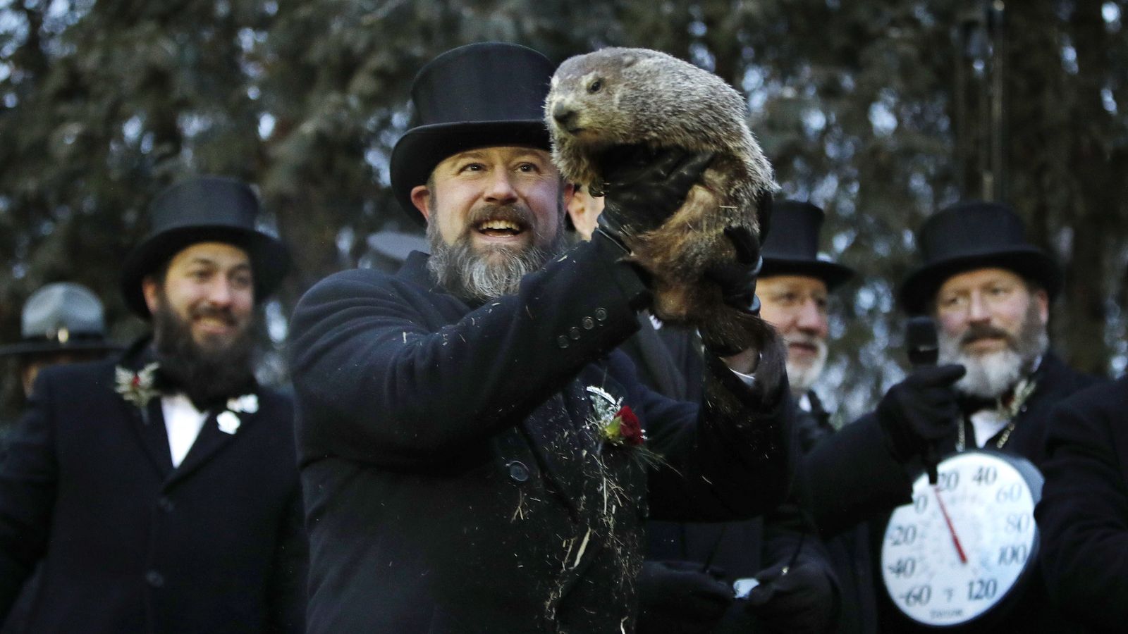 Phil, la marmota de Punxsutawney, en el Día de la Marmota