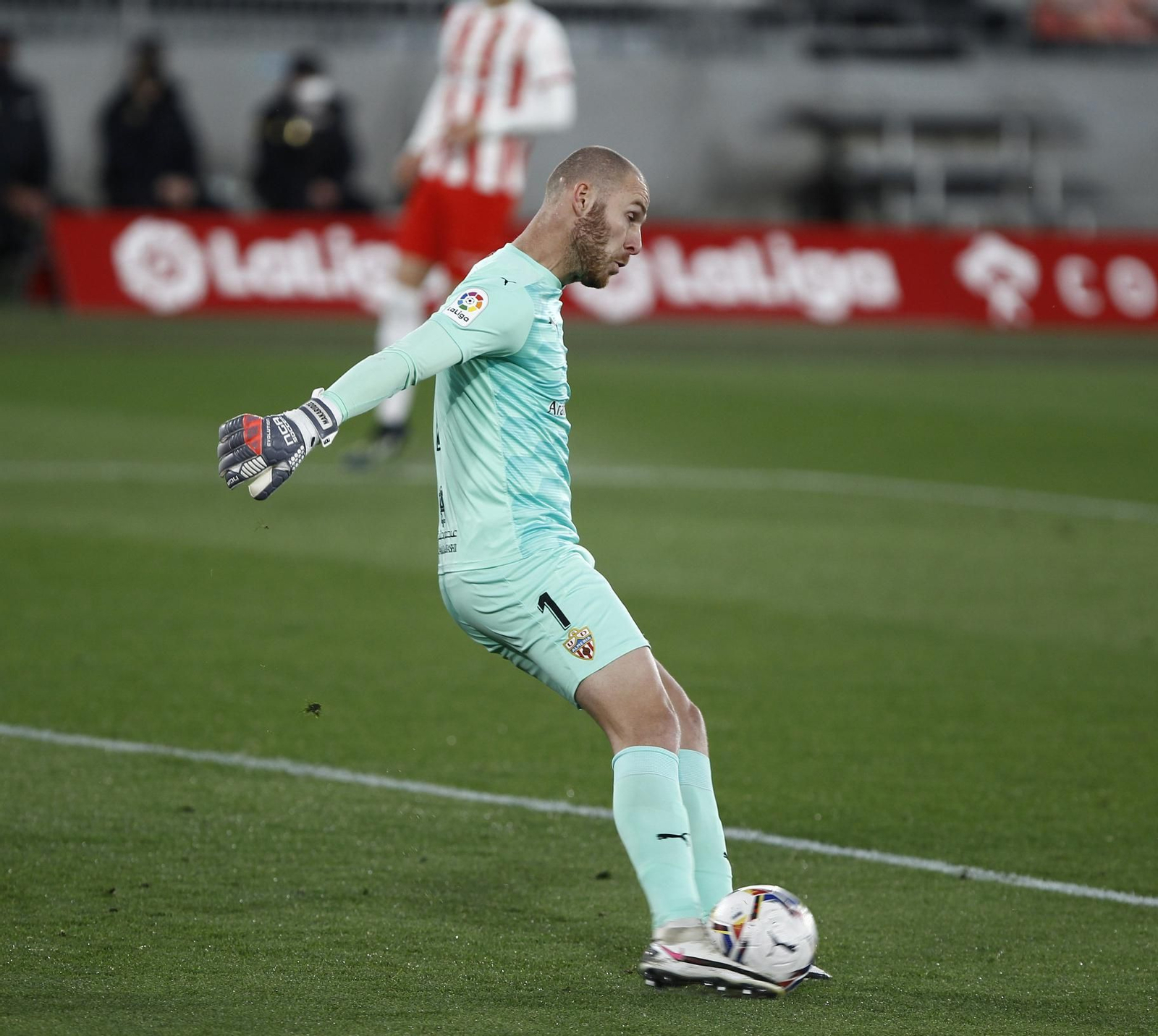 Fotogalería U.D. Almería-A.D. Alcorcón