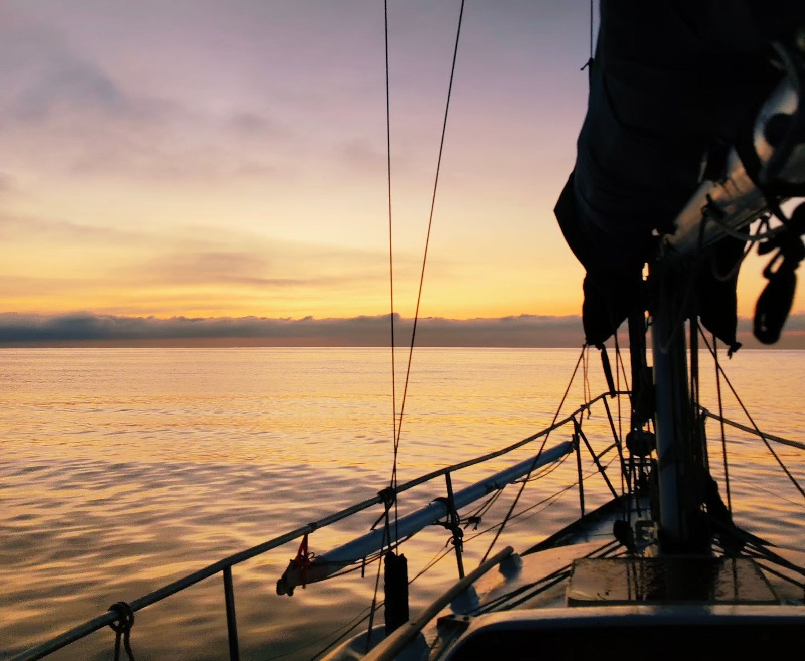 Navegando en el Poniente de Almería: del espectáculo de los delfines a los plásticos y petacas en el mar
