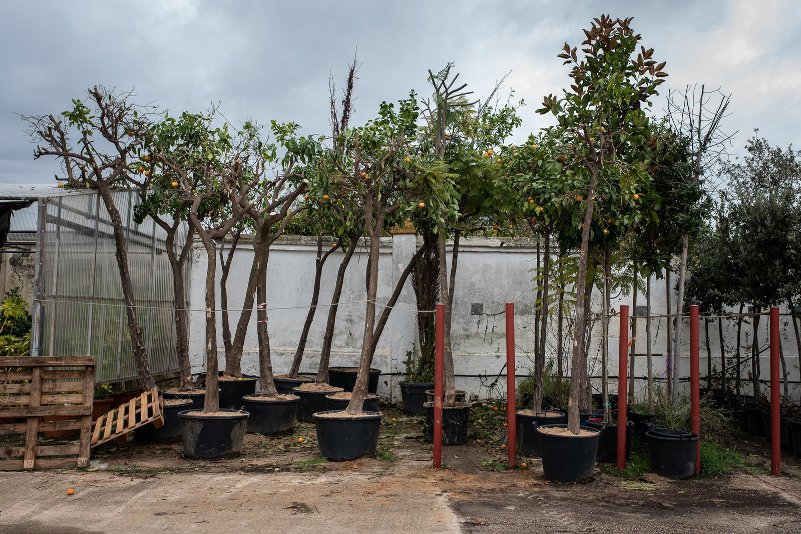 Visita al vivero municipal en imágenes