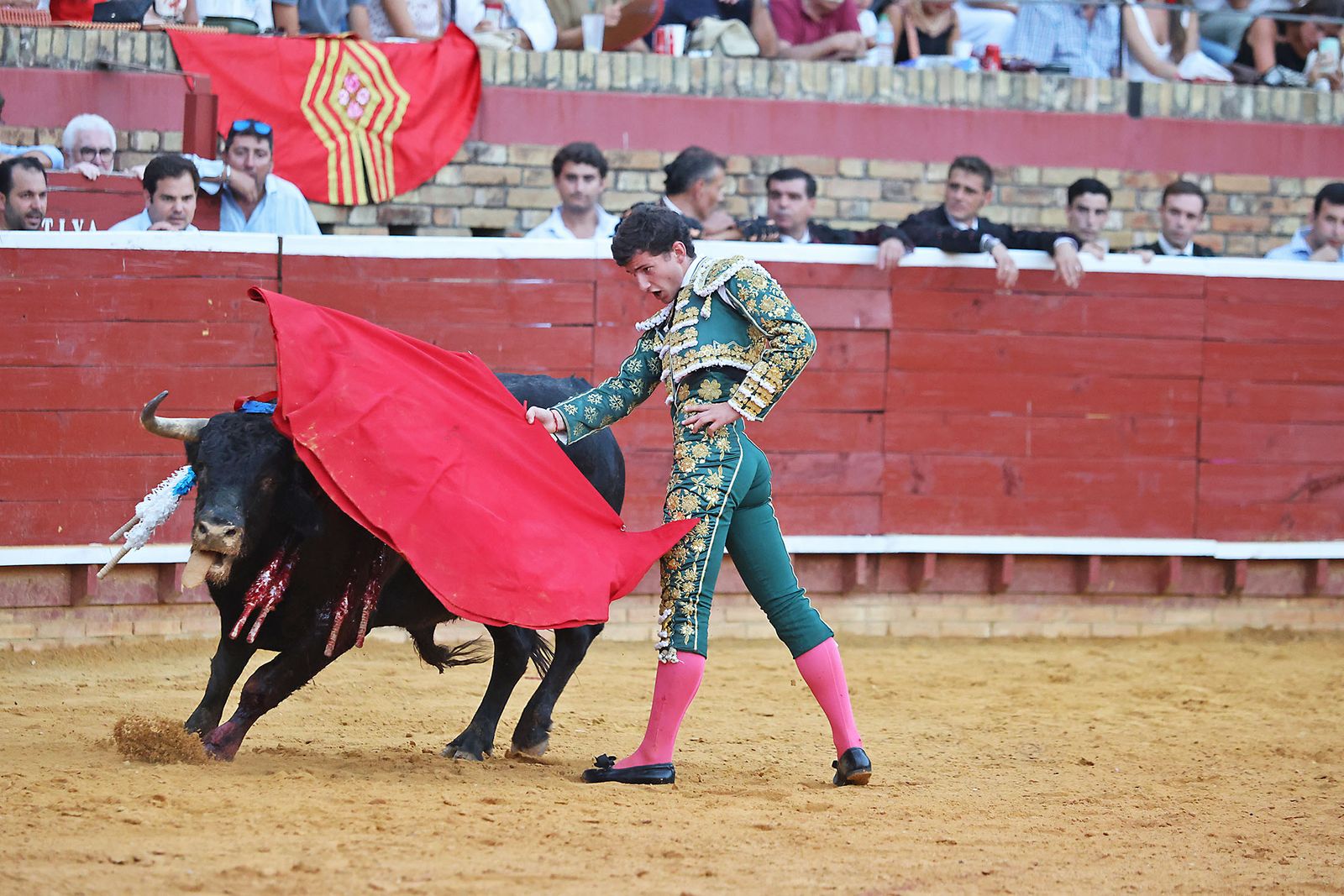Toros La Merced 2024 Novillada con picadores(