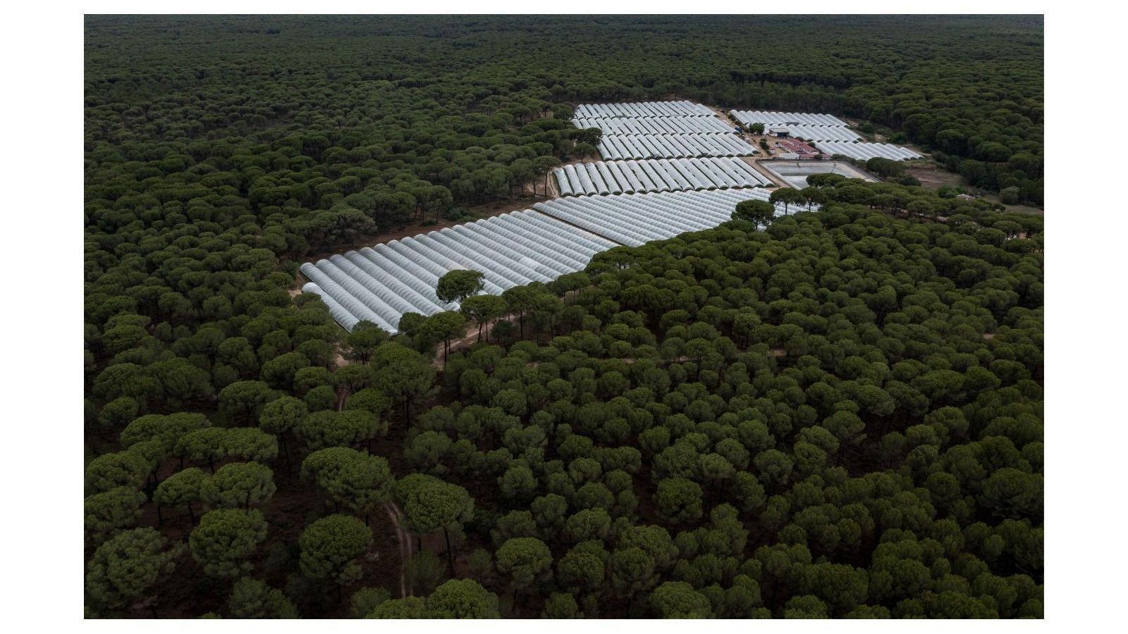 Imagen aérea de terrenos en el entorno del Parque Nacional.