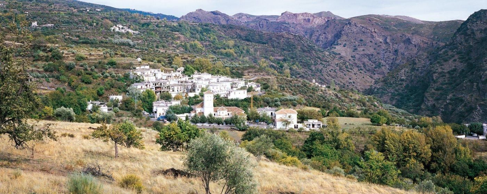 Vista de Mecina-Fondales, núcleo donde se ha detectado un foco de coronavirus