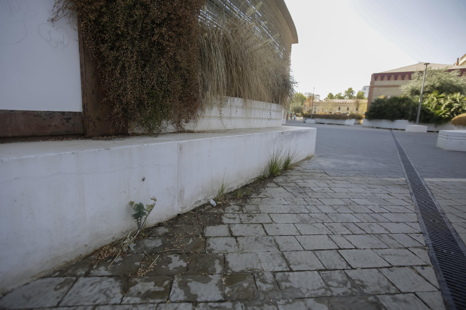 Abandono y mal estado de la plaza entre Mercadona y Plaza de Armas