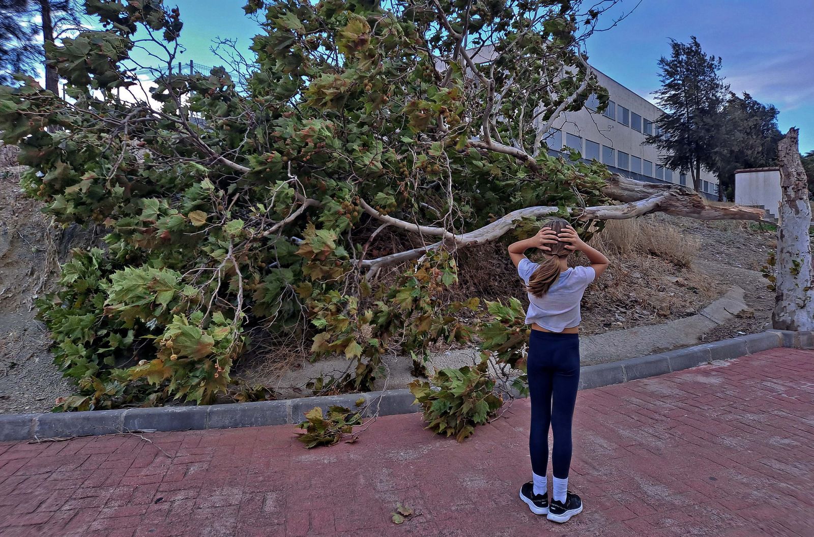 La borrasca Aline provoca daños en Algeciras