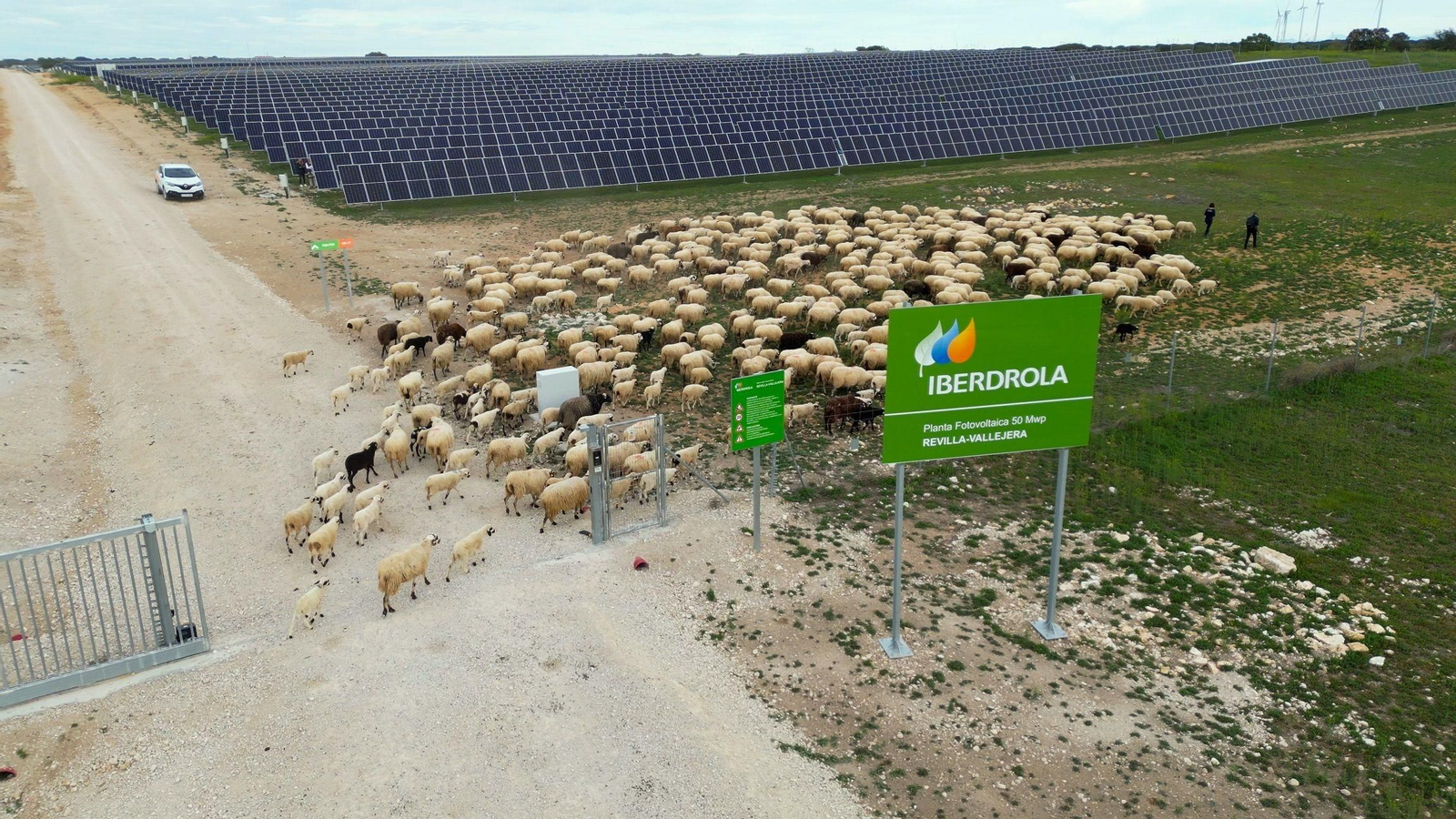 Planta fotovoltaica de Iberdrola.