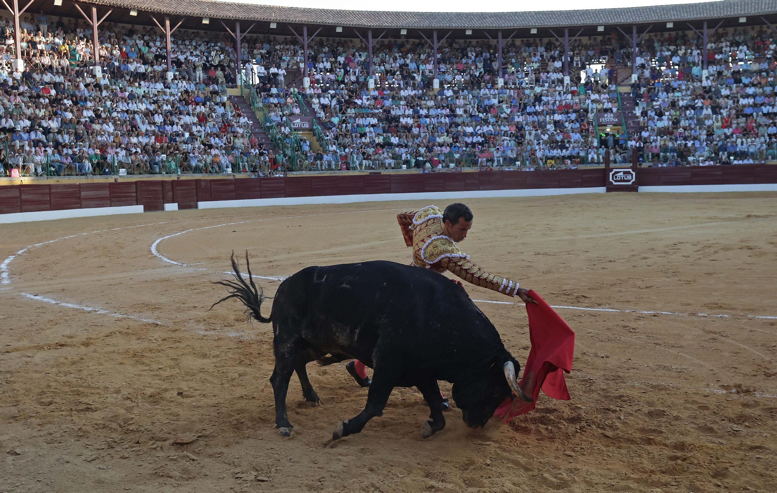 Fotos de la corrida del viernes de la Feria de La Línea: Morante de la Puebla, Talavante y David de Miranda Fotos de la corrida del viernes de la Feria de La Línea: Morante de la Puebla, Talavante y David de Miranda