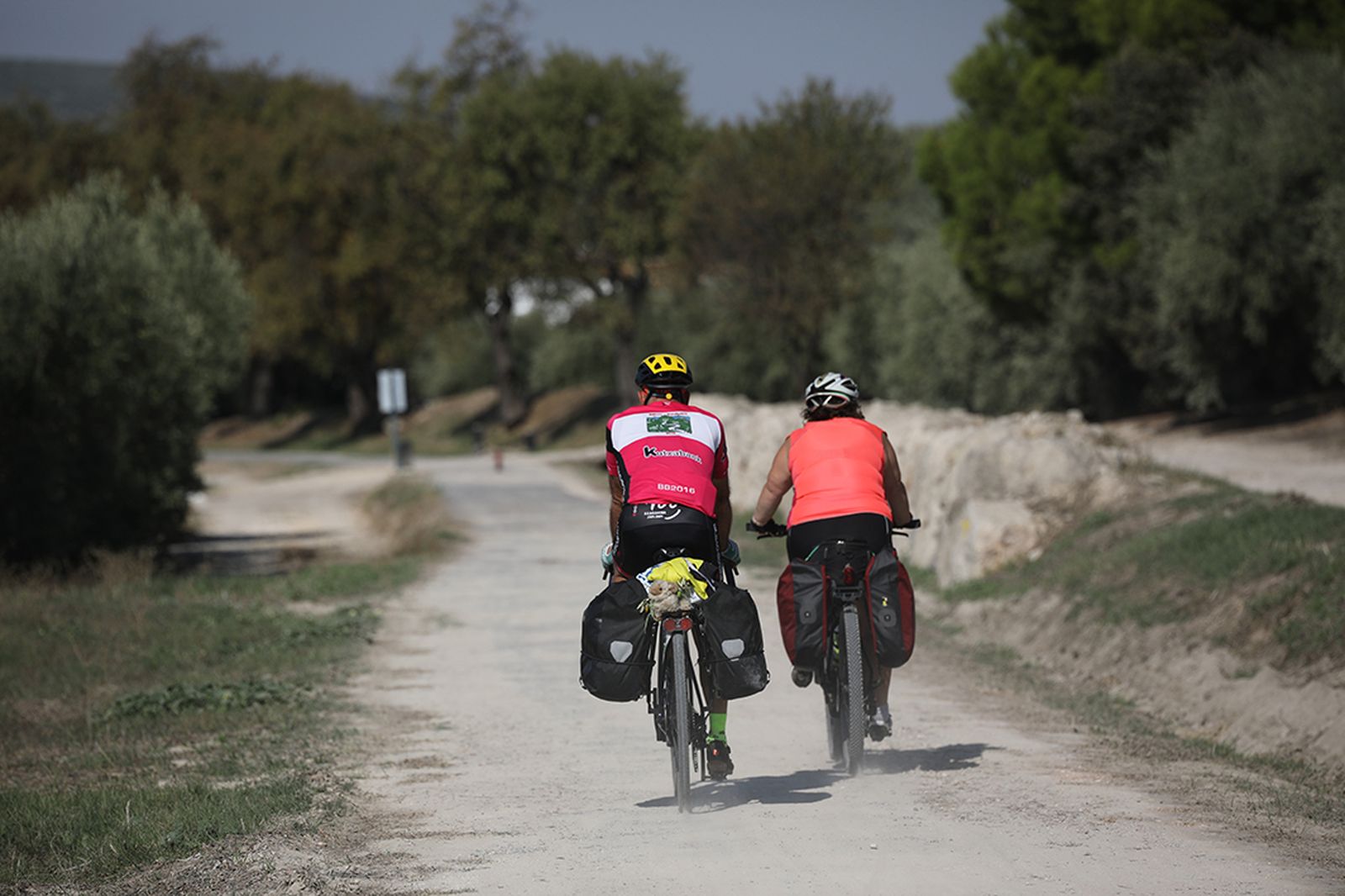 'Bicigrinos' recorren el Camino Mozárabe a Santiago.