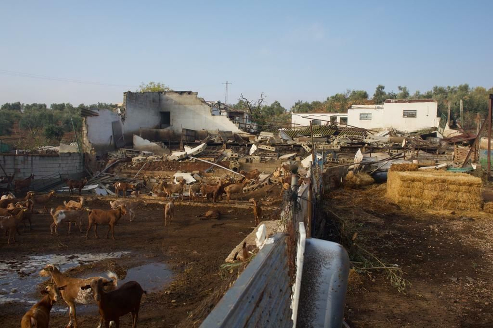 Fotos de los daños causados por los tornados en Campillos
