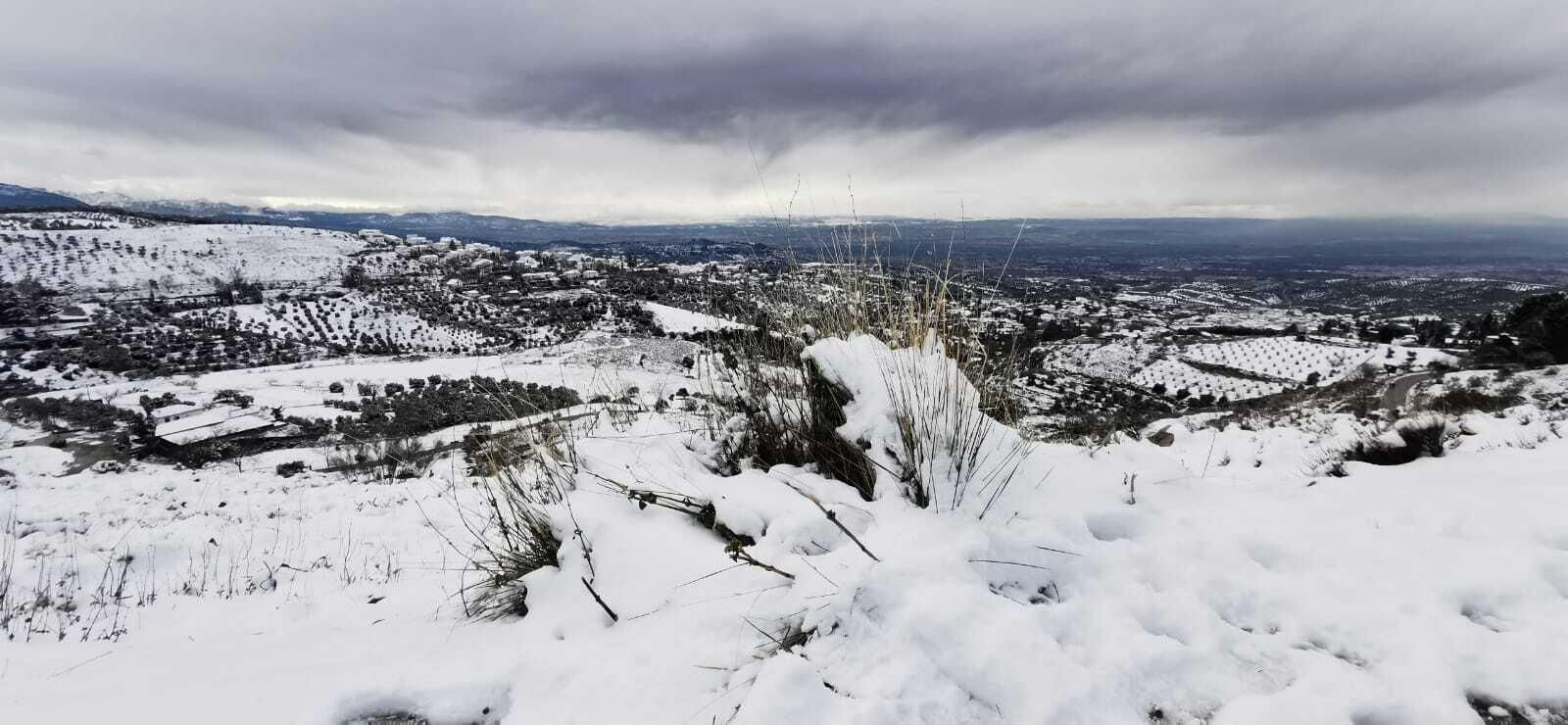 La nieve cubre de blanco la localidad granadina de Alfacar