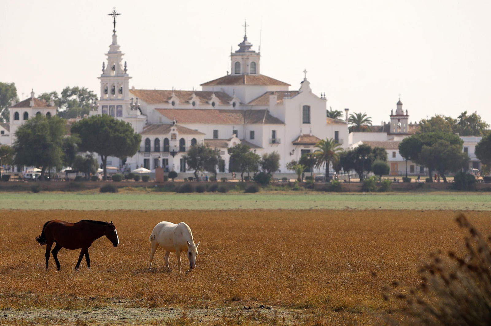 Imágenes del ambiente en el Rocío Chico en la mañana del sábado