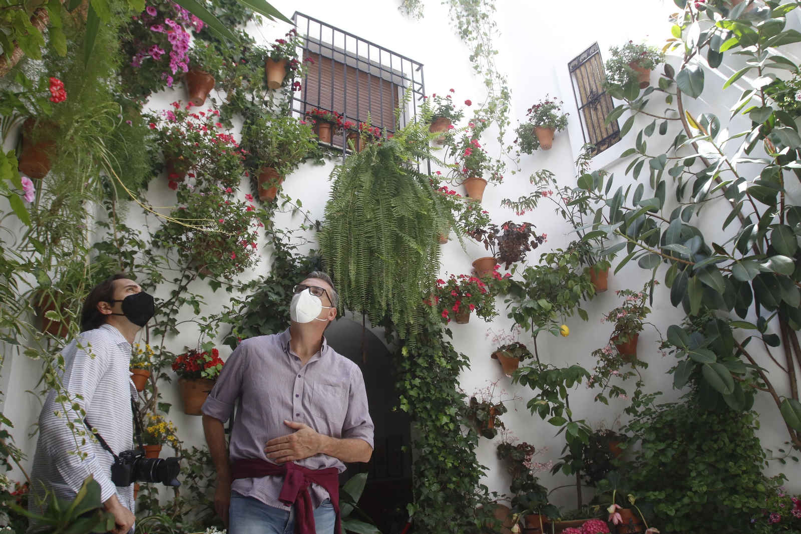 Ruta Alcázar Viejo de los Patios de Córdoba, en imágenes