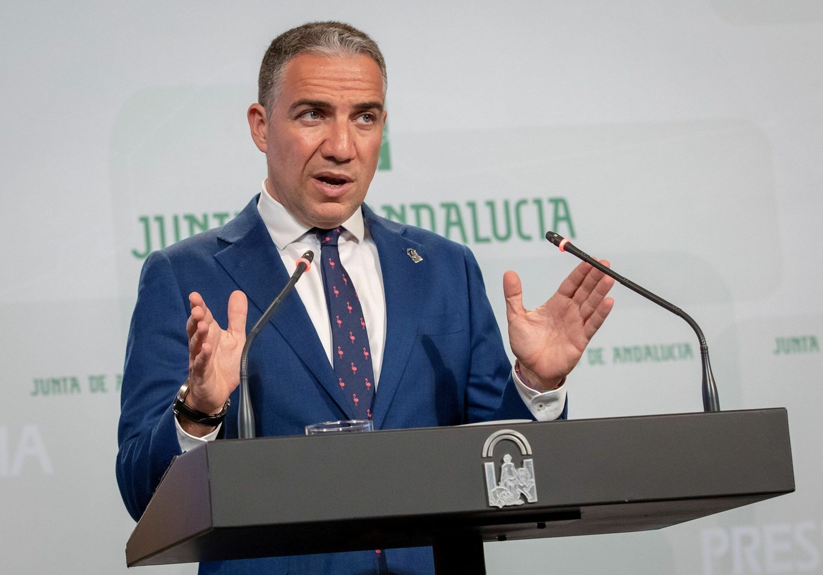 El consejero de Presidencia, Elías Bendodo, en una comparecencia pública.