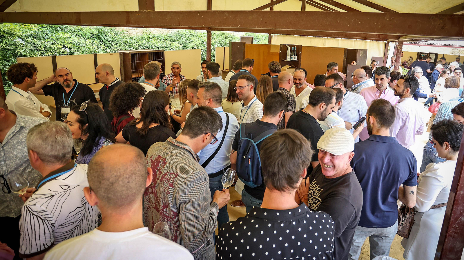 Imágenes del primer día de Vinoble 2022