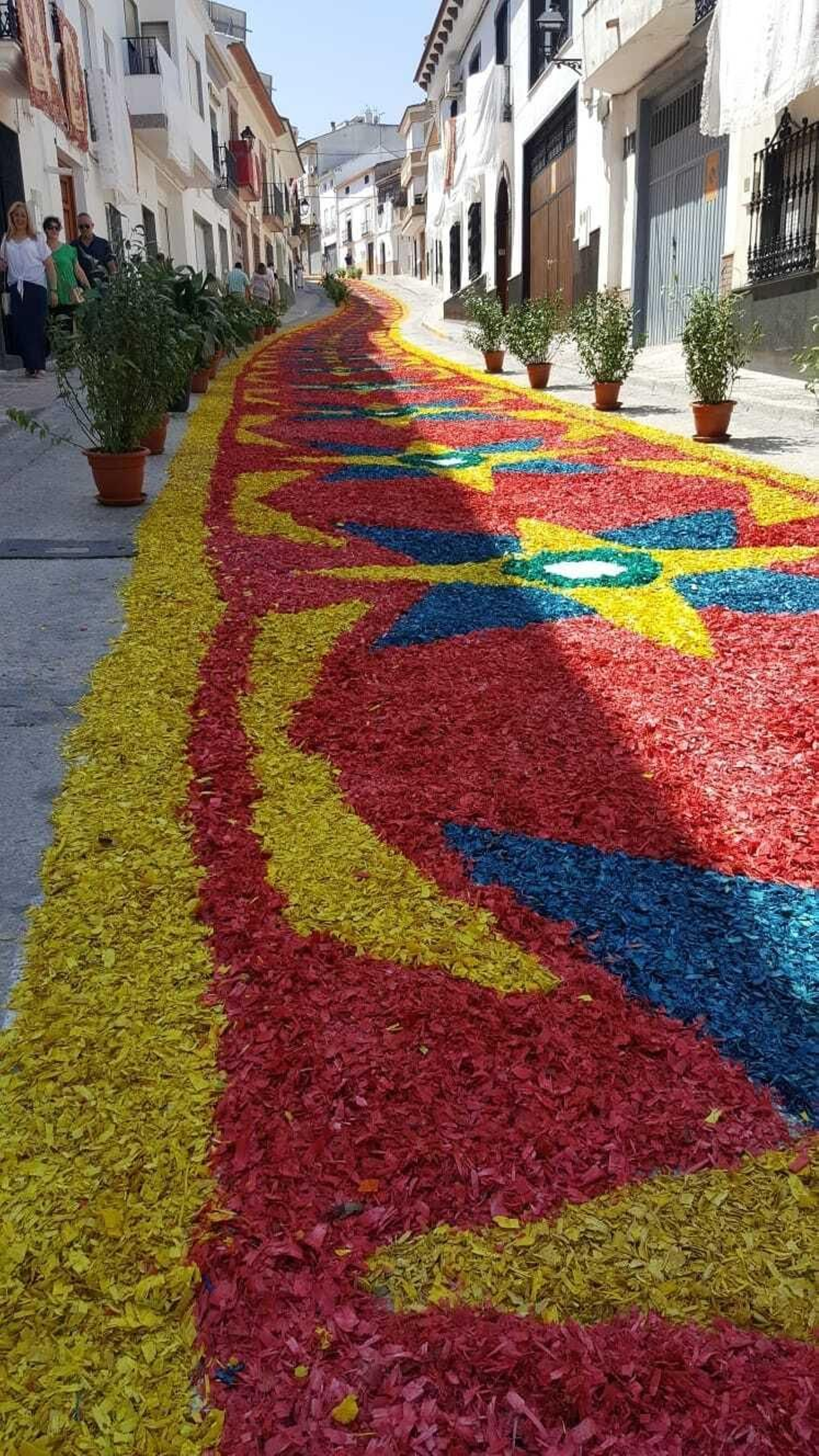 Las imágenes de las espectaculares alfombras del Corpus Christi de Valenzuela