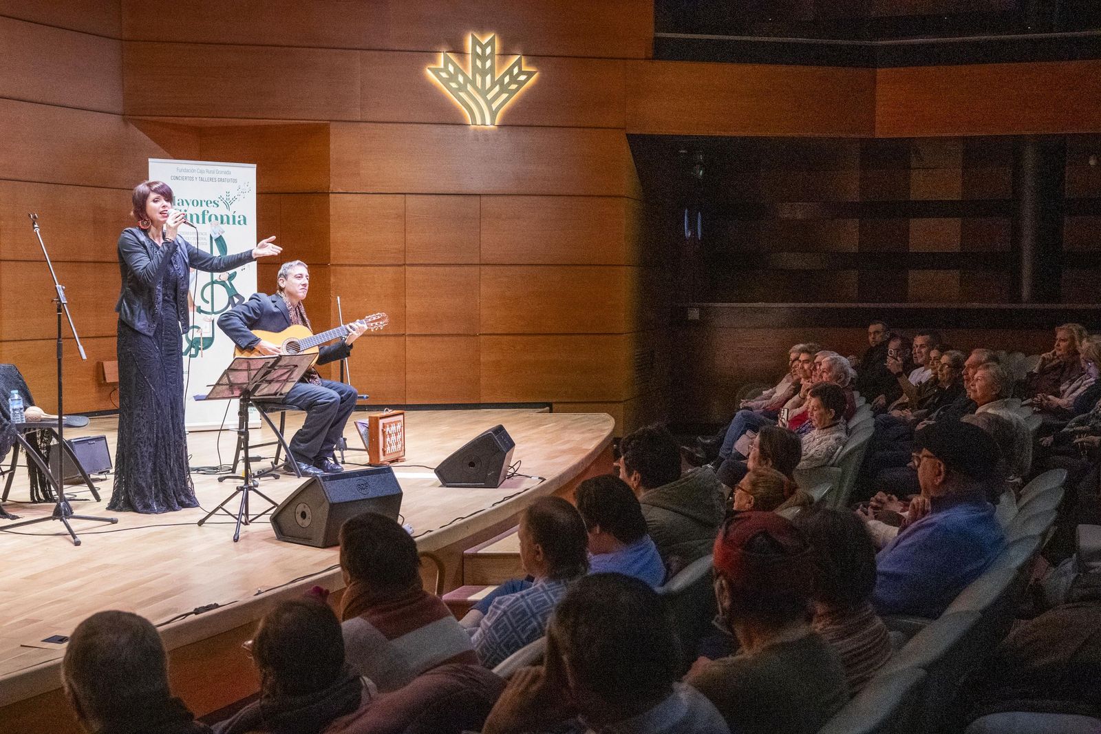 Uno de los momentos del recital celebrado en el Auditorio Caja Granada